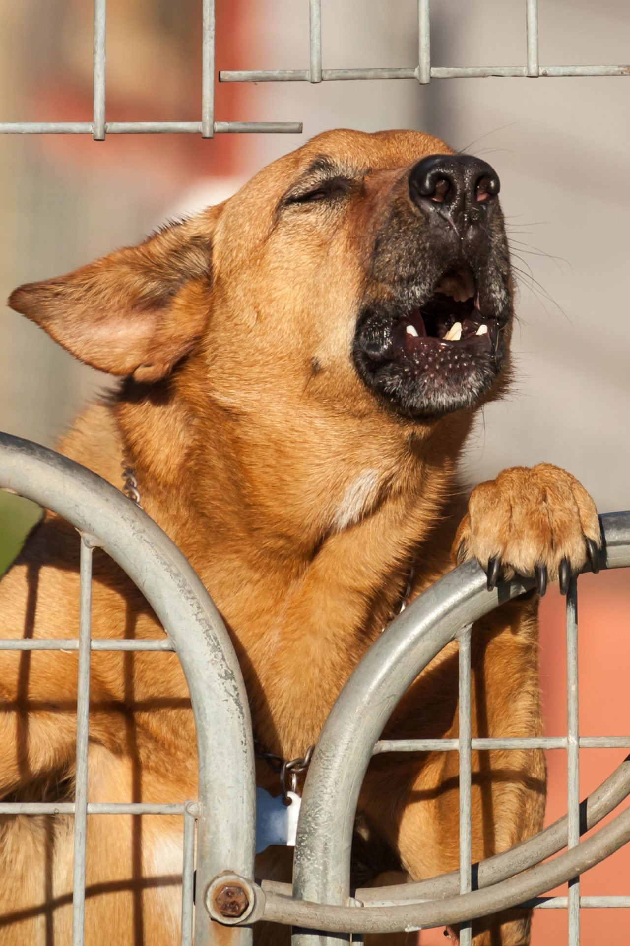 2020_08_gettyimages-487202847-scaled.jpg