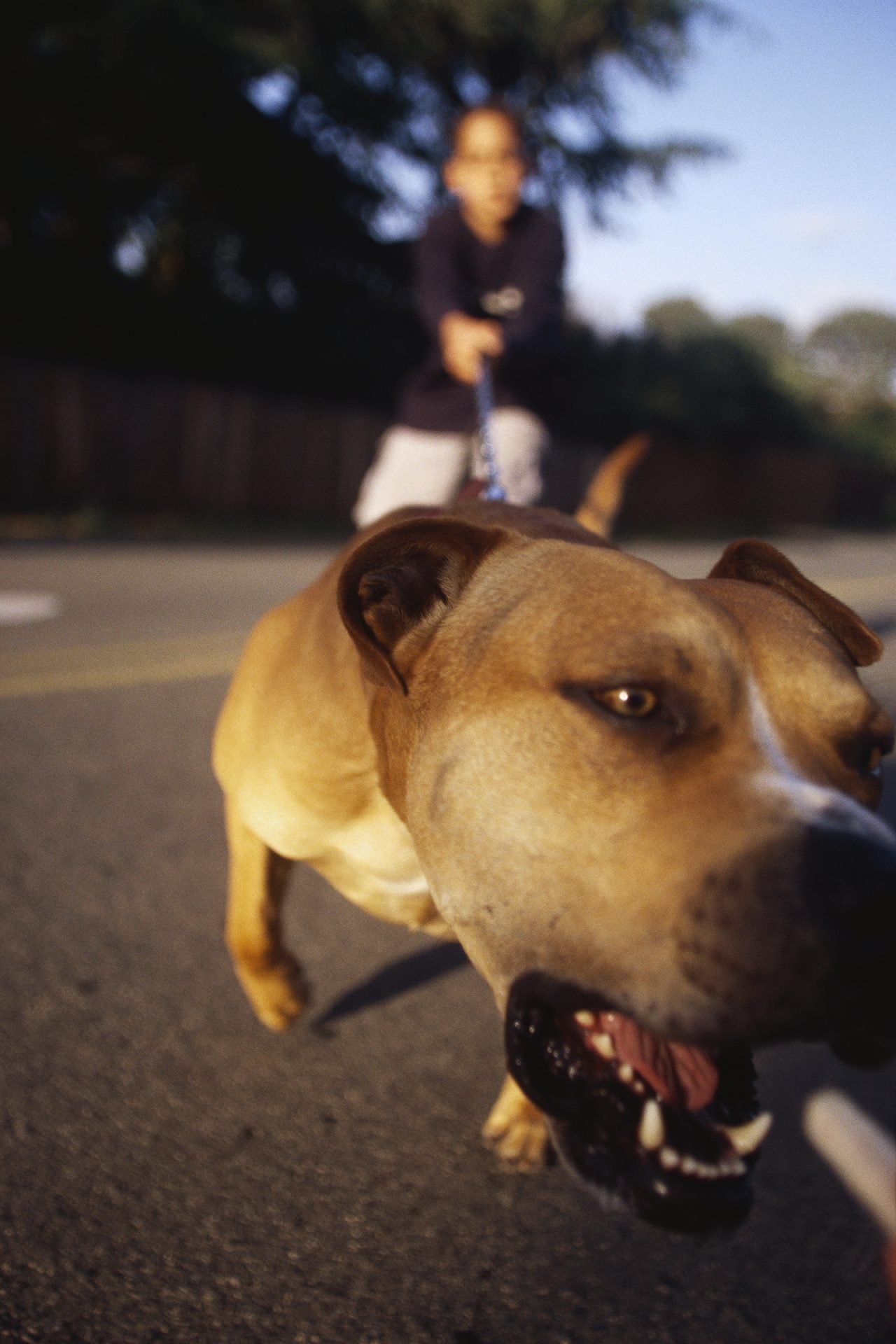 2020_08_gettyimages-541383002-scaled.jpg