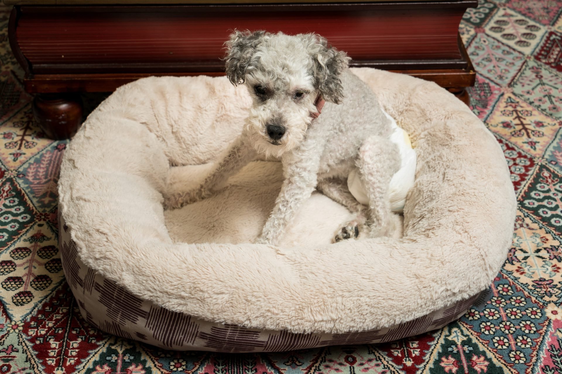 2020_08_gettyimages-588369142-scaled.jpg