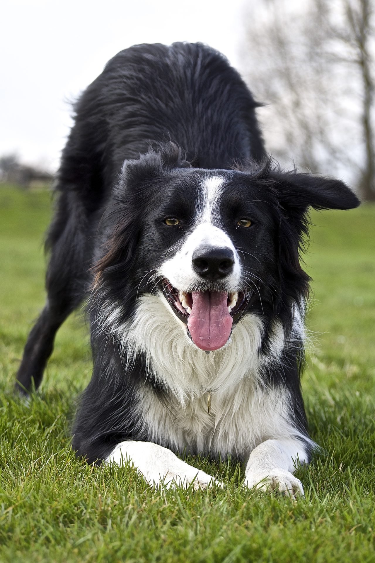 2020_08_gettyimages-611076996-scaled.jpg