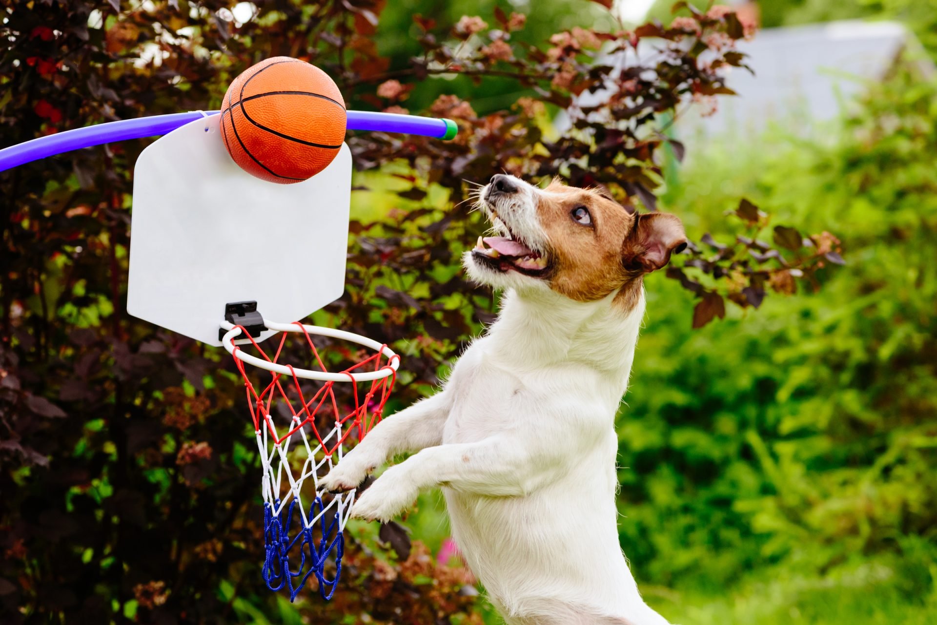 2020_08_gettyimages-821663502-scaled.jpg