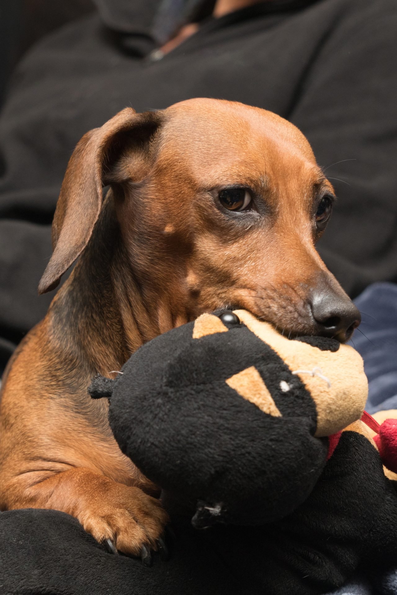 2020_08_gettyimages-863839518-scaled.jpg