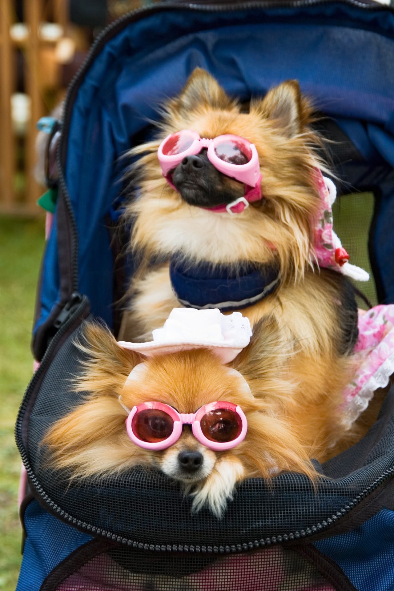 2020_08_gettyimages-93218706-scaled.jpg