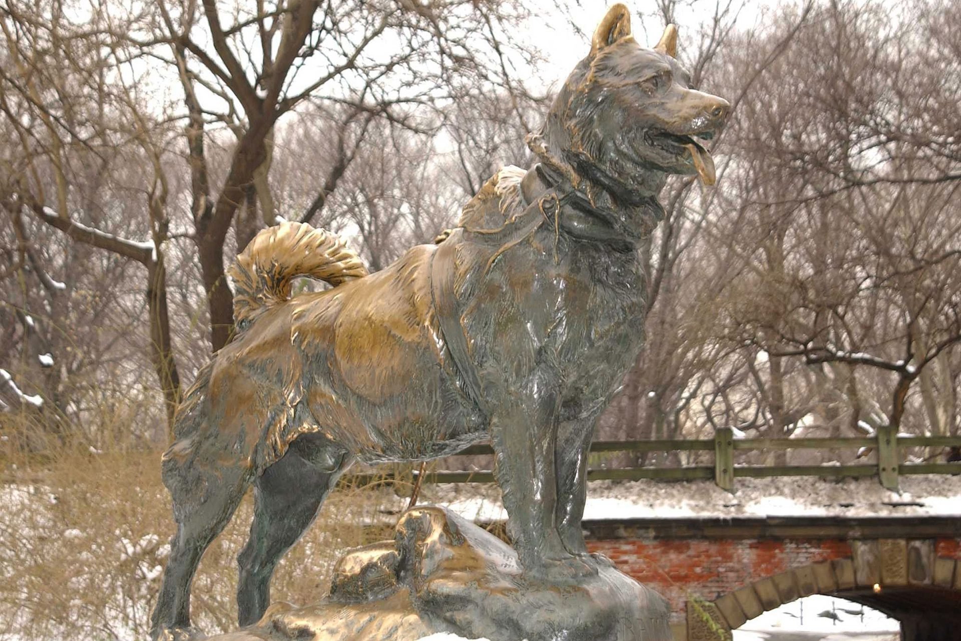 2020_09_balto-kiemelt-scaled.jpg