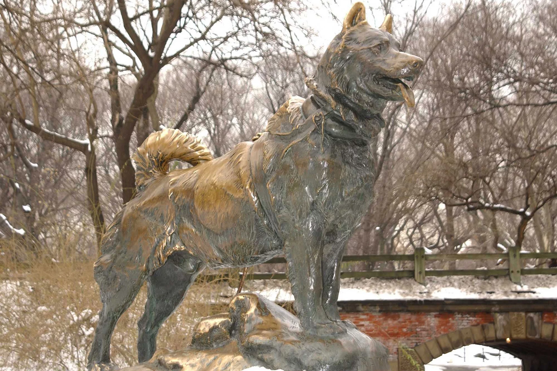 2020_09_balto-kiemelt-scaled.webp