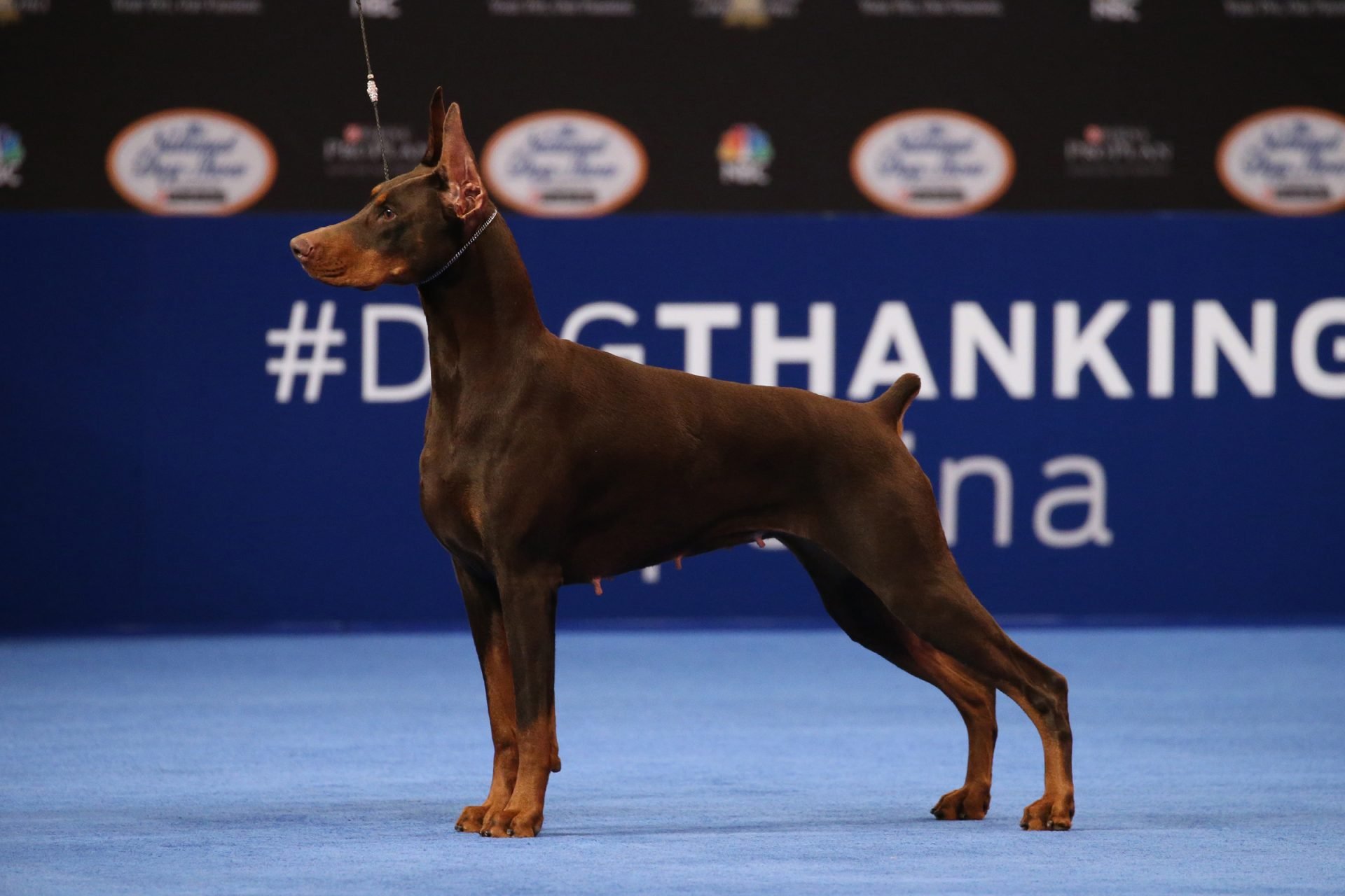 2020_09_gettyimages-1064336752-scaled.jpg