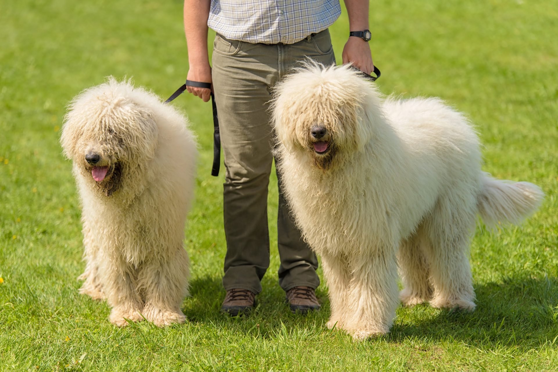 2020_09_gettyimages-1132258346-scaled.jpg