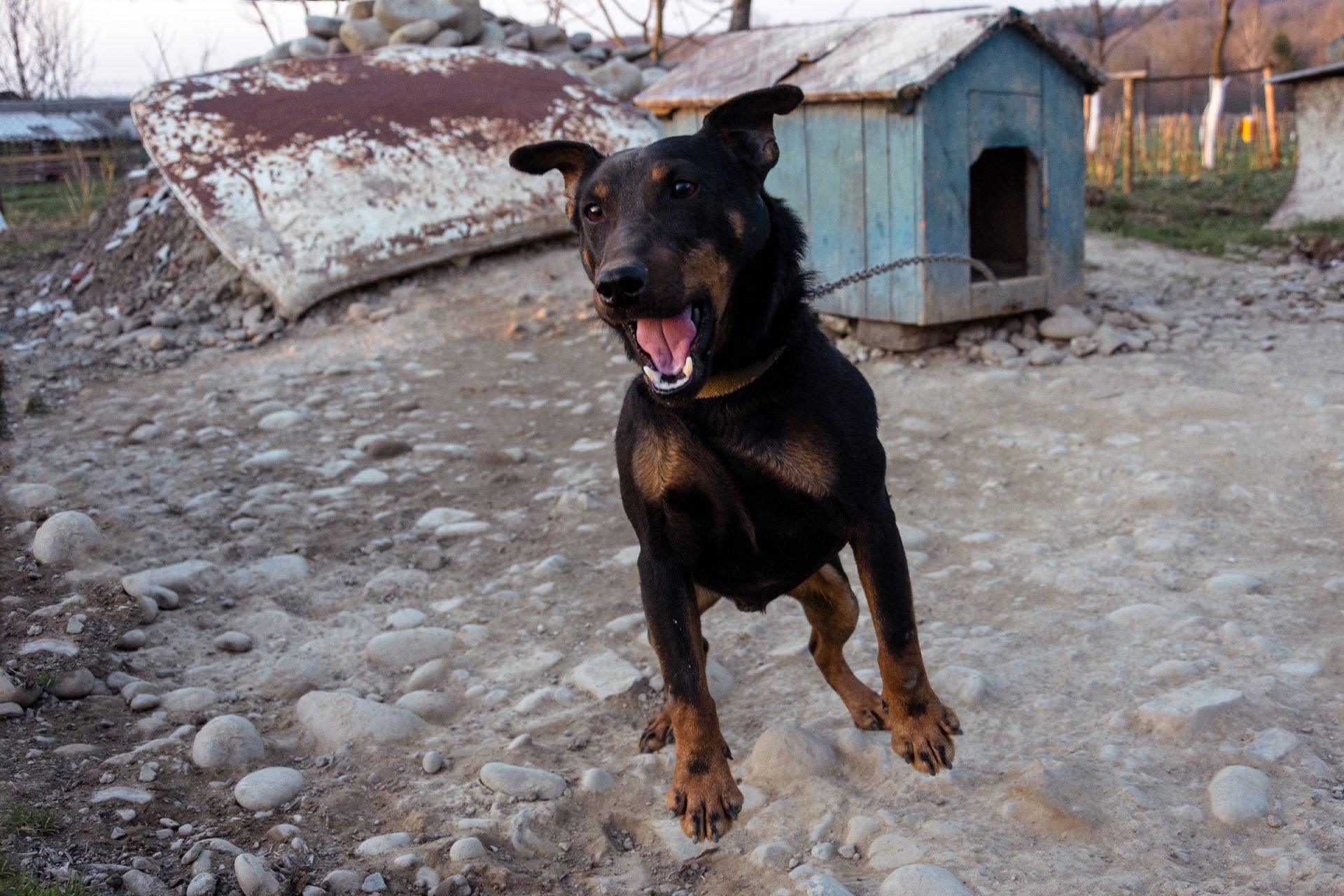 2020_09_gettyimages-1145900392-scaled.jpg