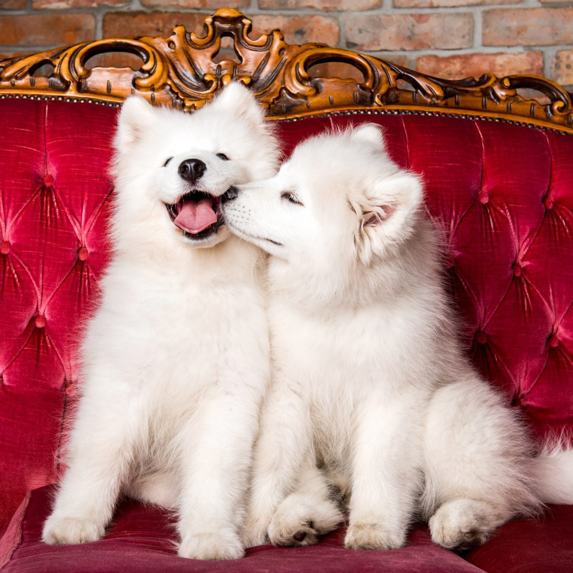 2020_09_gettyimages-1165780725s-scaled.jpg