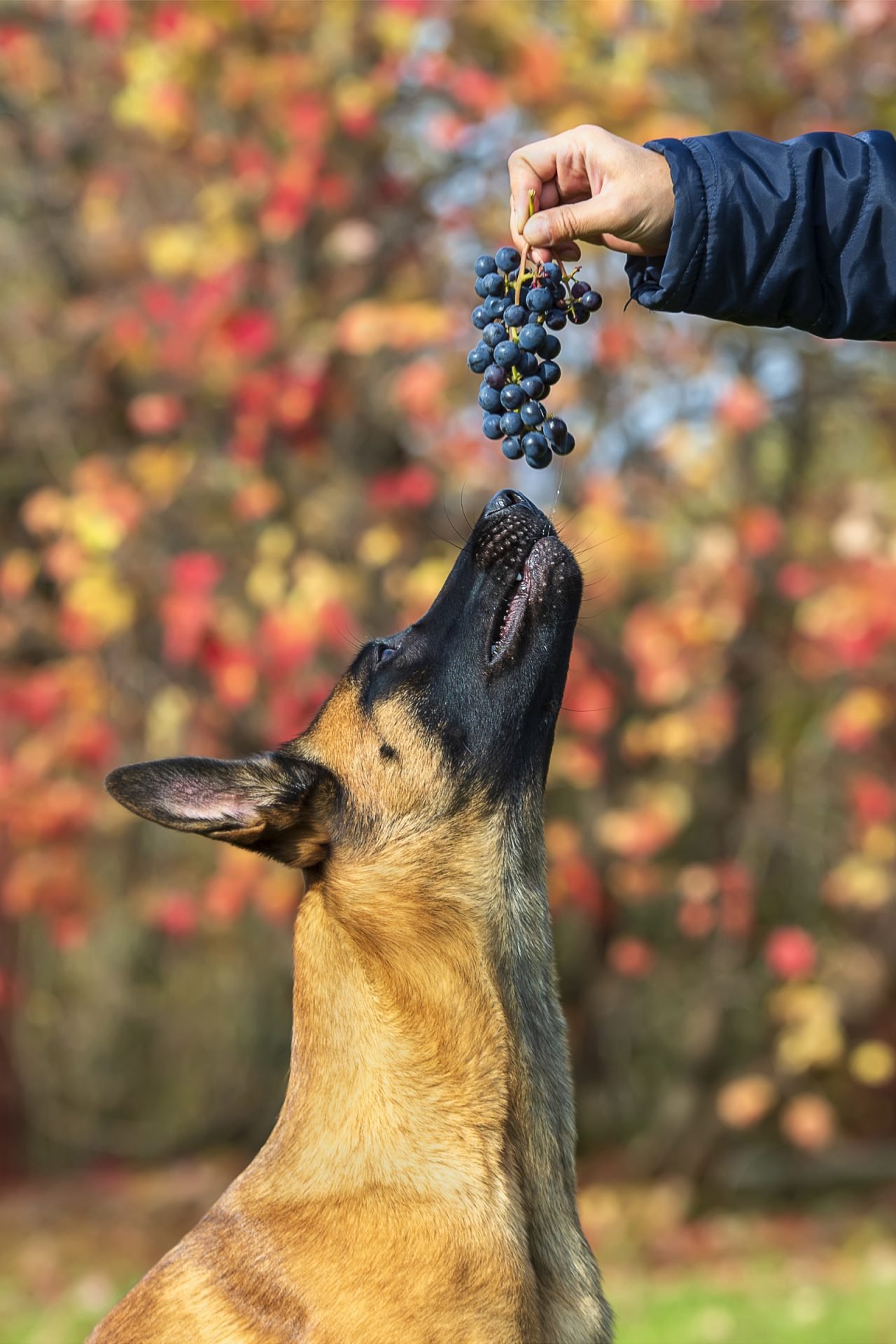 2020_09_gettyimages-1184901393-scaled.jpg