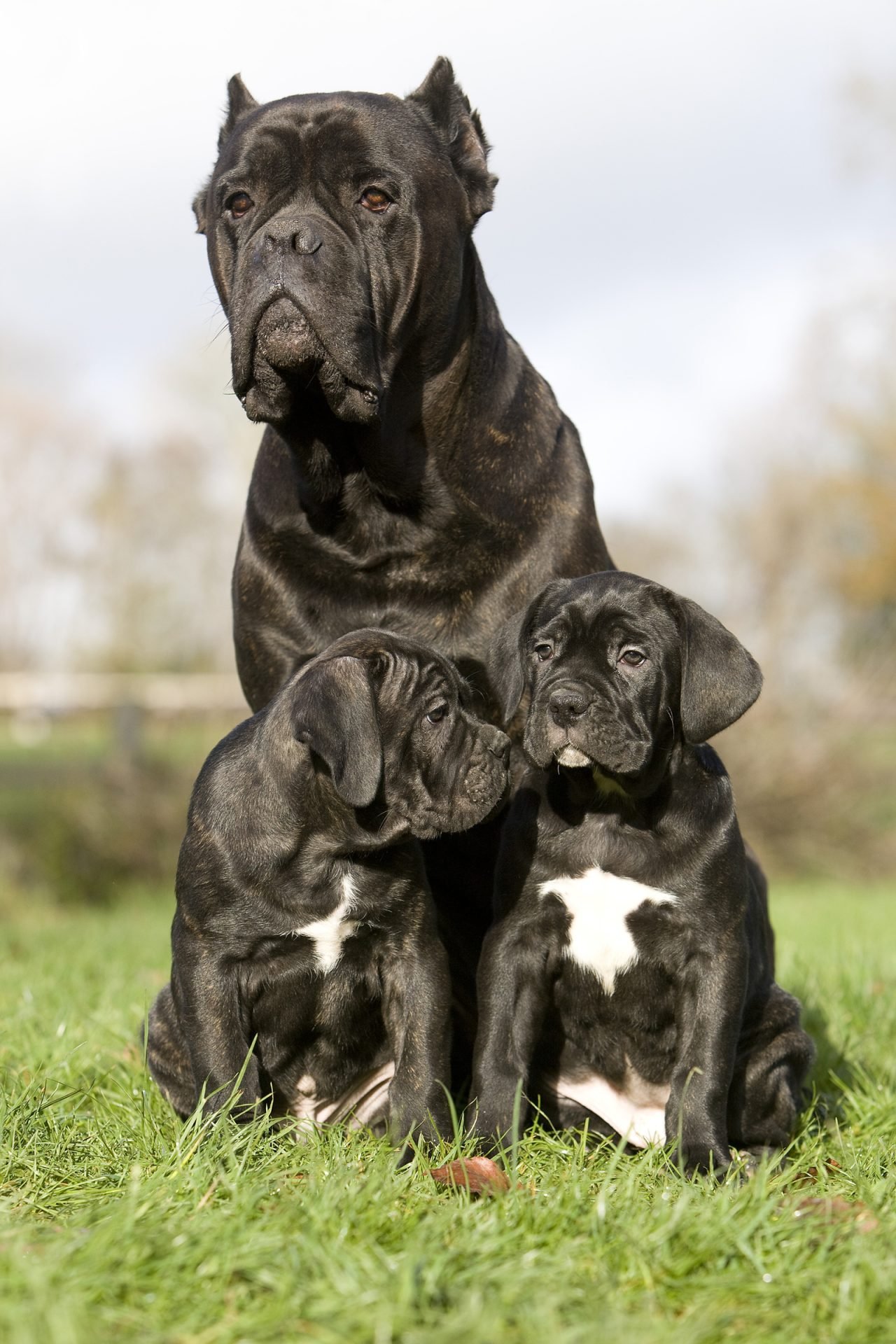 2020_09_gettyimages-1250408793-scaled.jpg