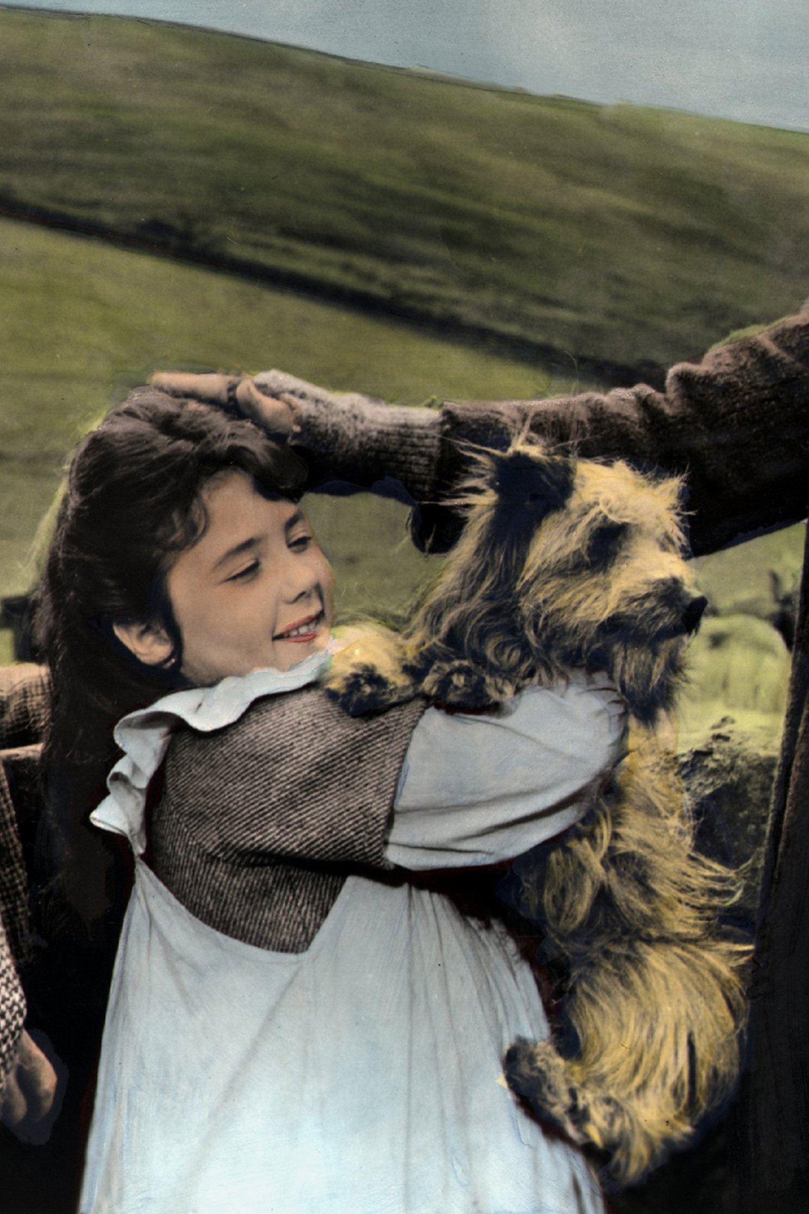 Greyfriars Bobby film