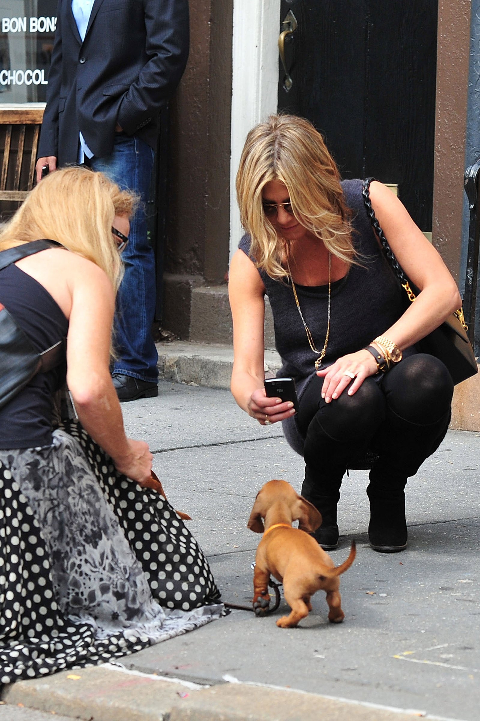 Jennifer Aniston kutyát fényképez