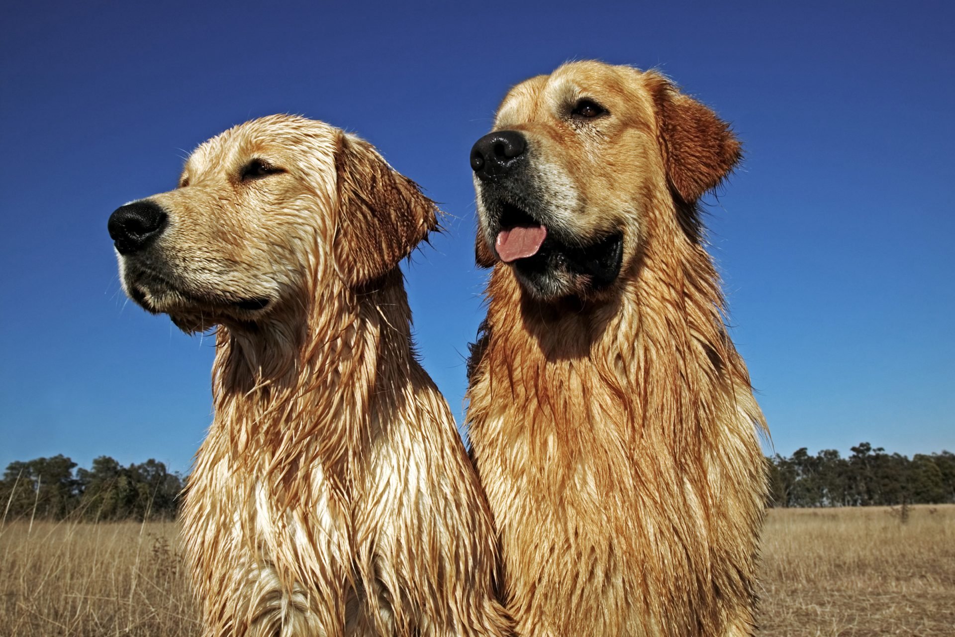 2020_09_gettyimages-128117315-scaled.jpg