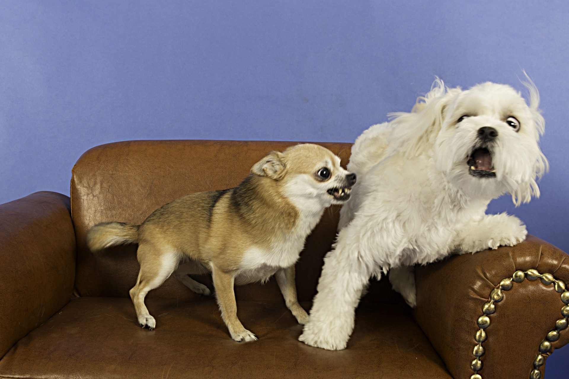 2020_09_gettyimages-170024951-scaled.jpg