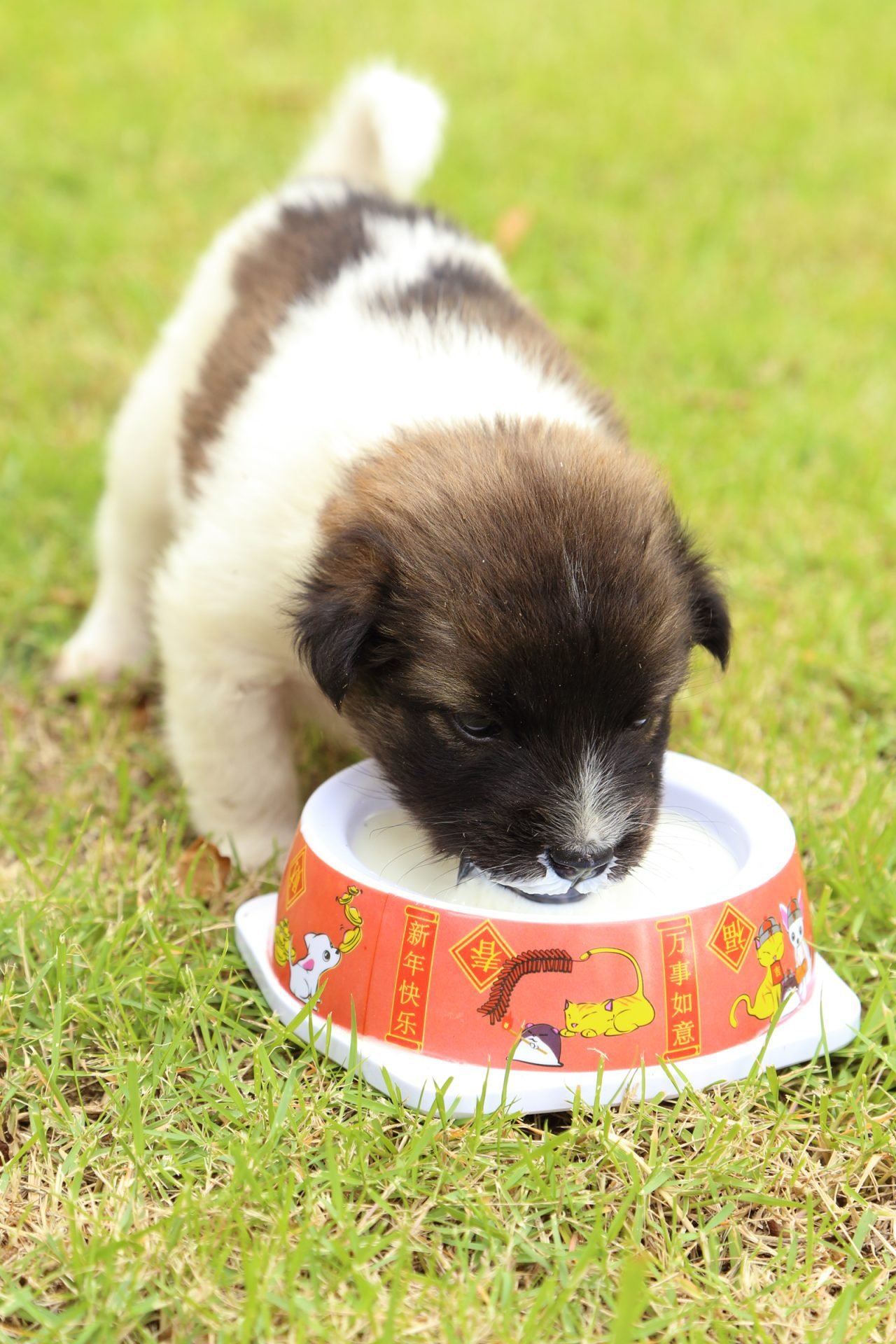 2020_09_gettyimages-181320104-scaled.jpg