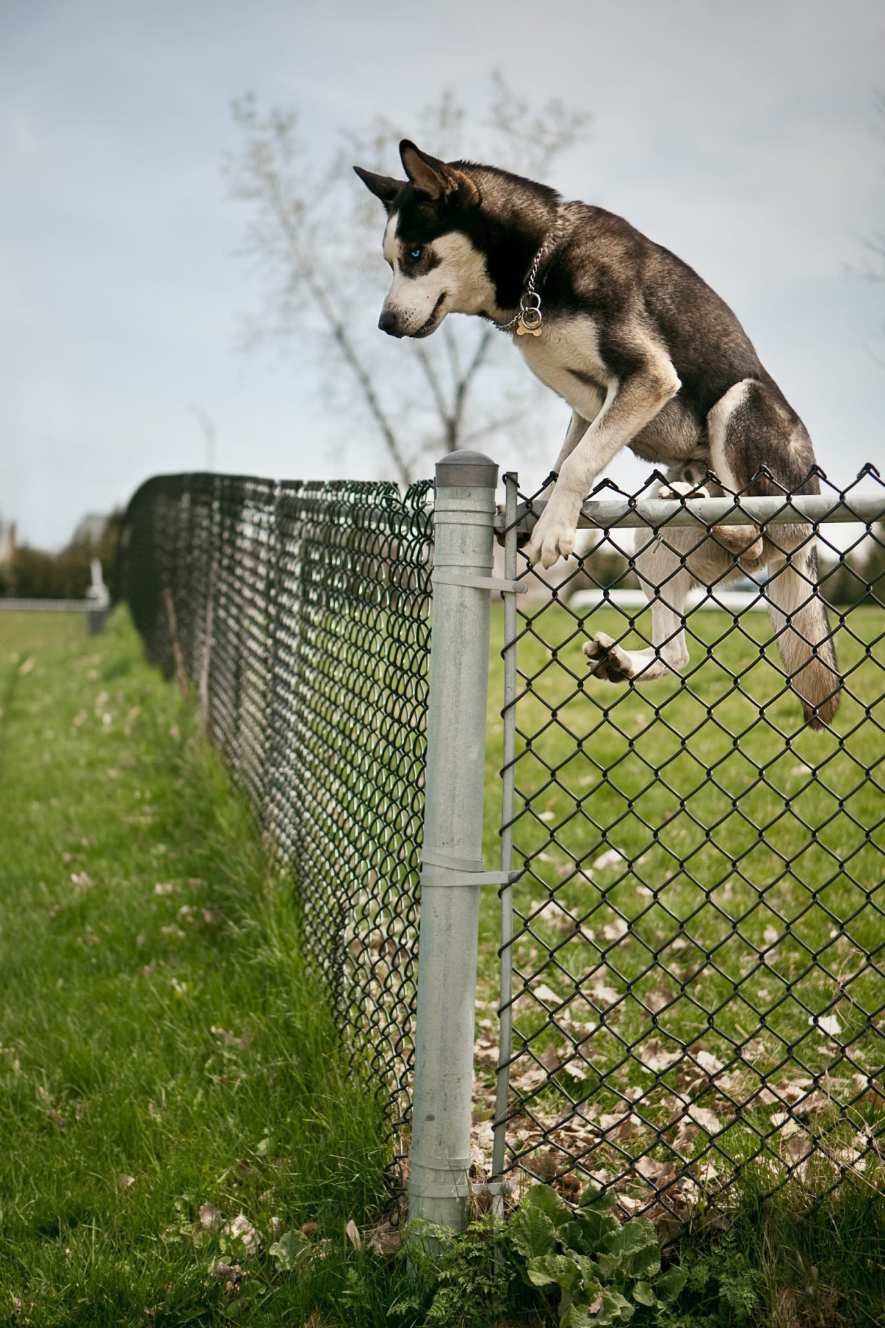 2020_09_gettyimages-181635077-scaled.jpg