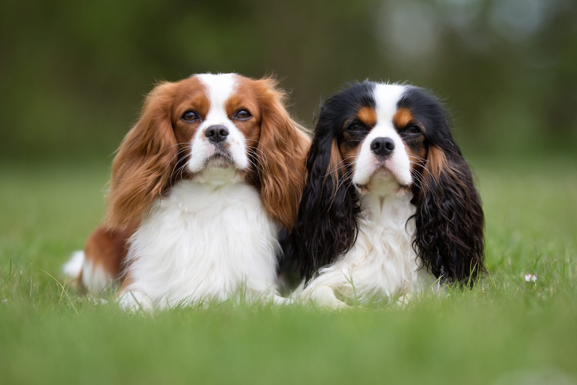 2020_09_gettyimages-490473418-scaled.jpg