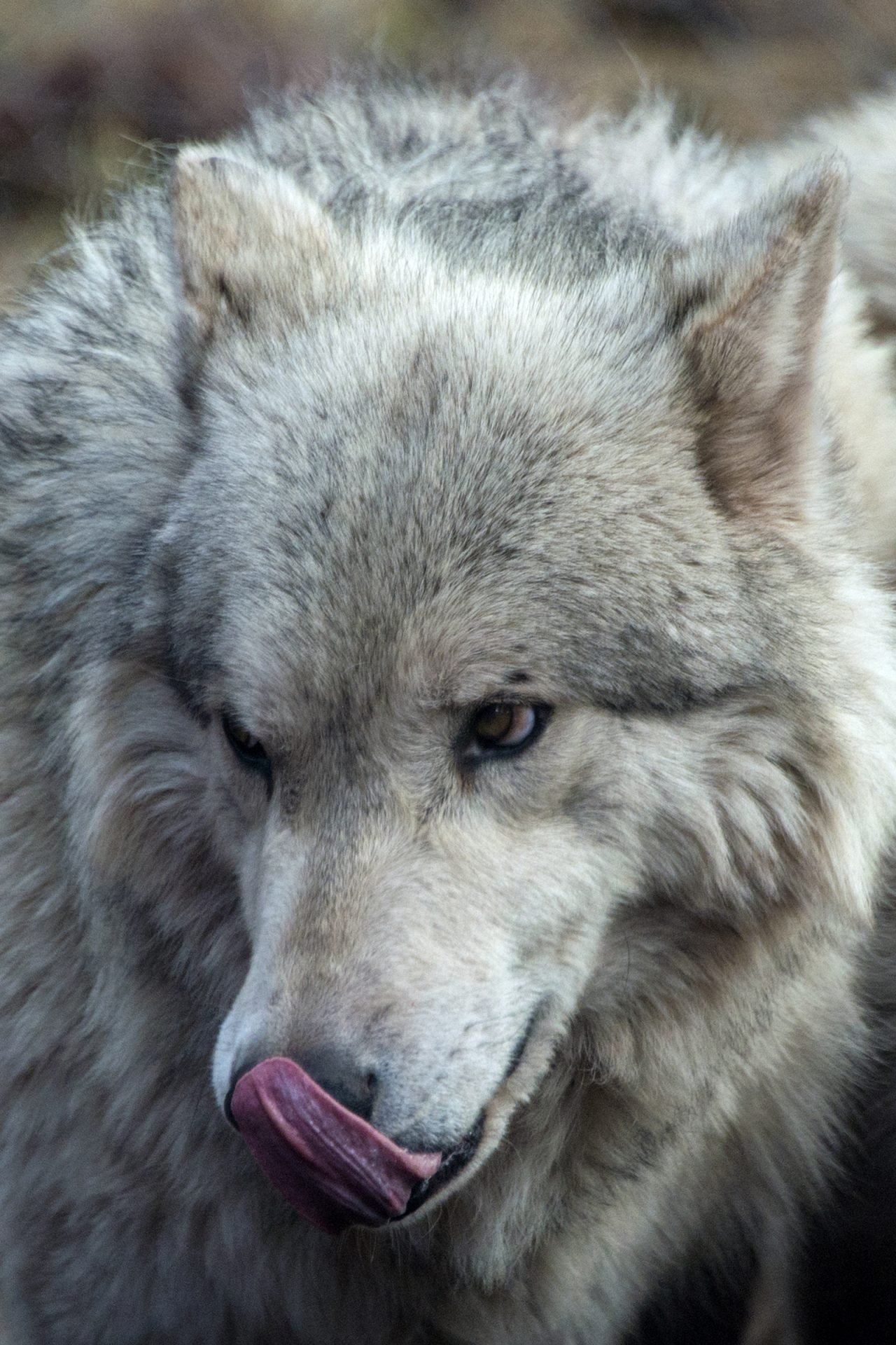 2020_09_gettyimages-501287243-scaled.jpg