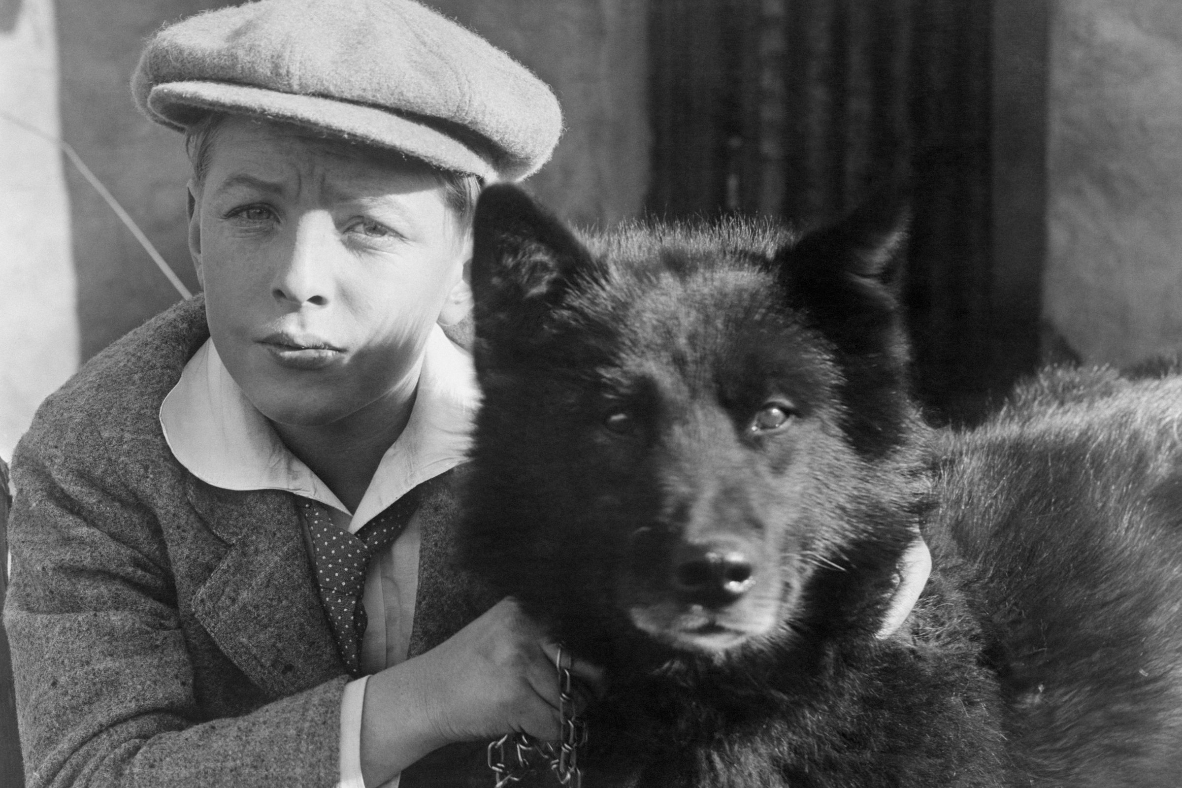 Balto gyerekkel