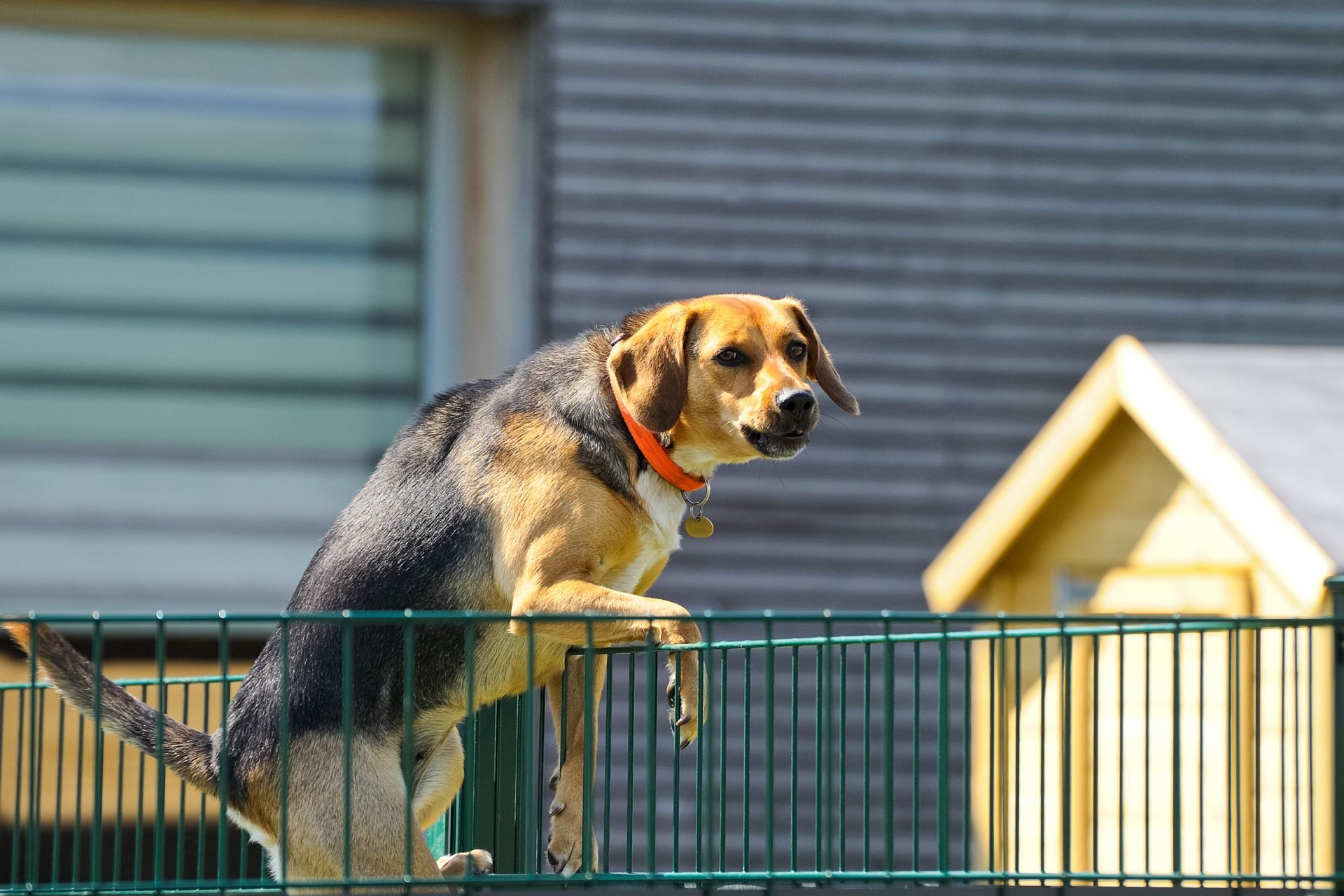 2020_09_gettyimages-515521897-scaled.jpg