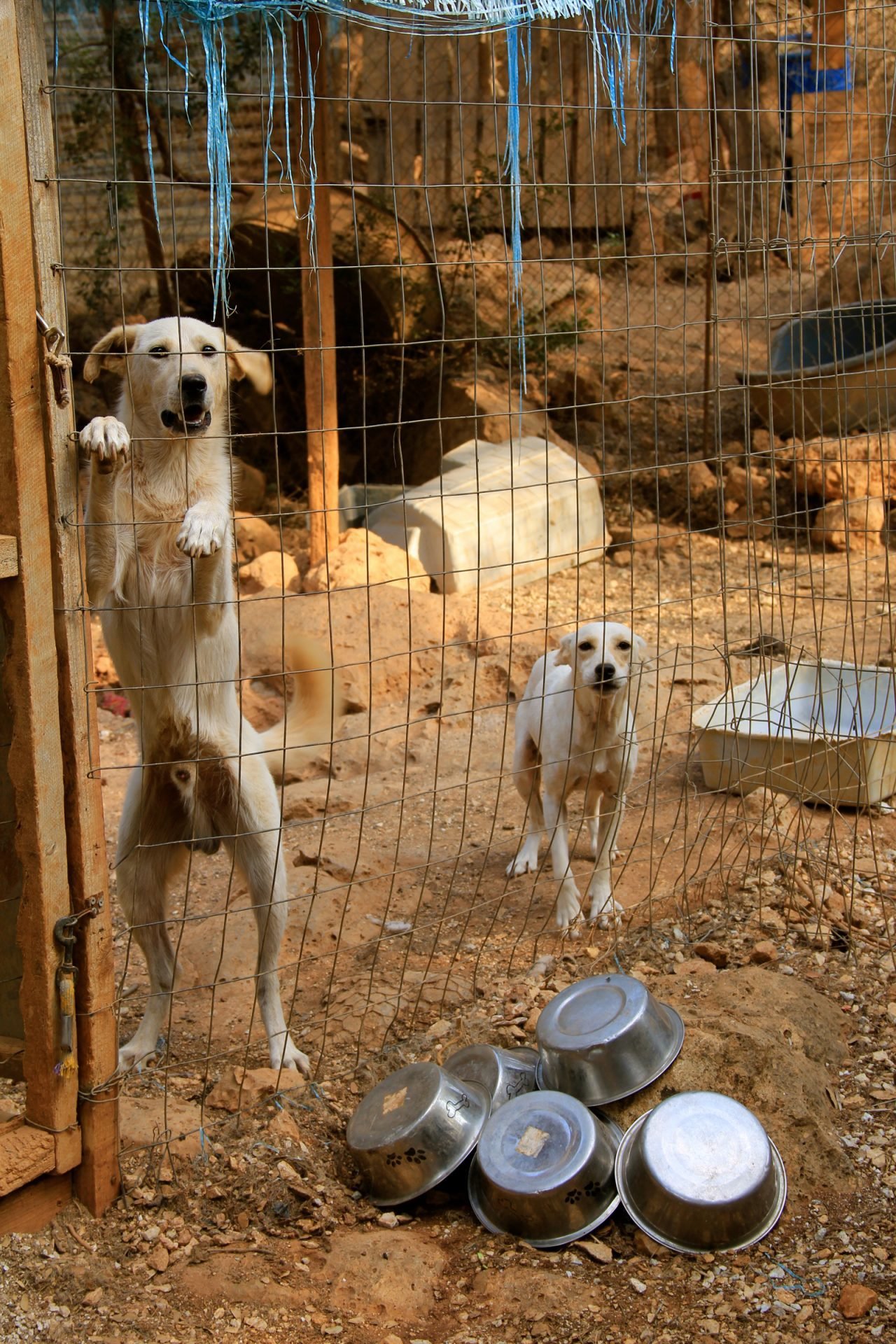 2020_09_gettyimages-613672642-scaled.jpg