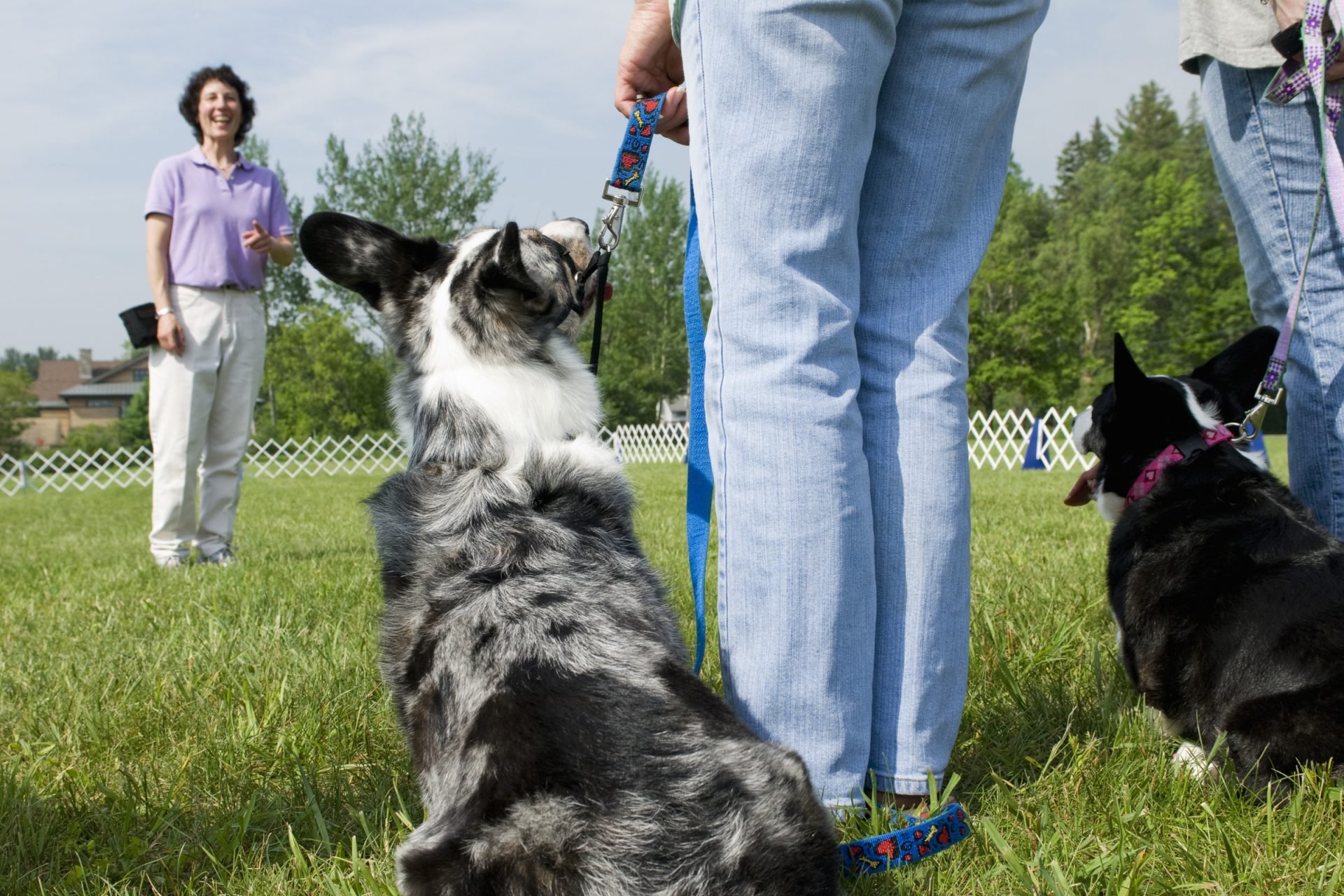2020_09_gettyimages-82832361-scaled.jpg