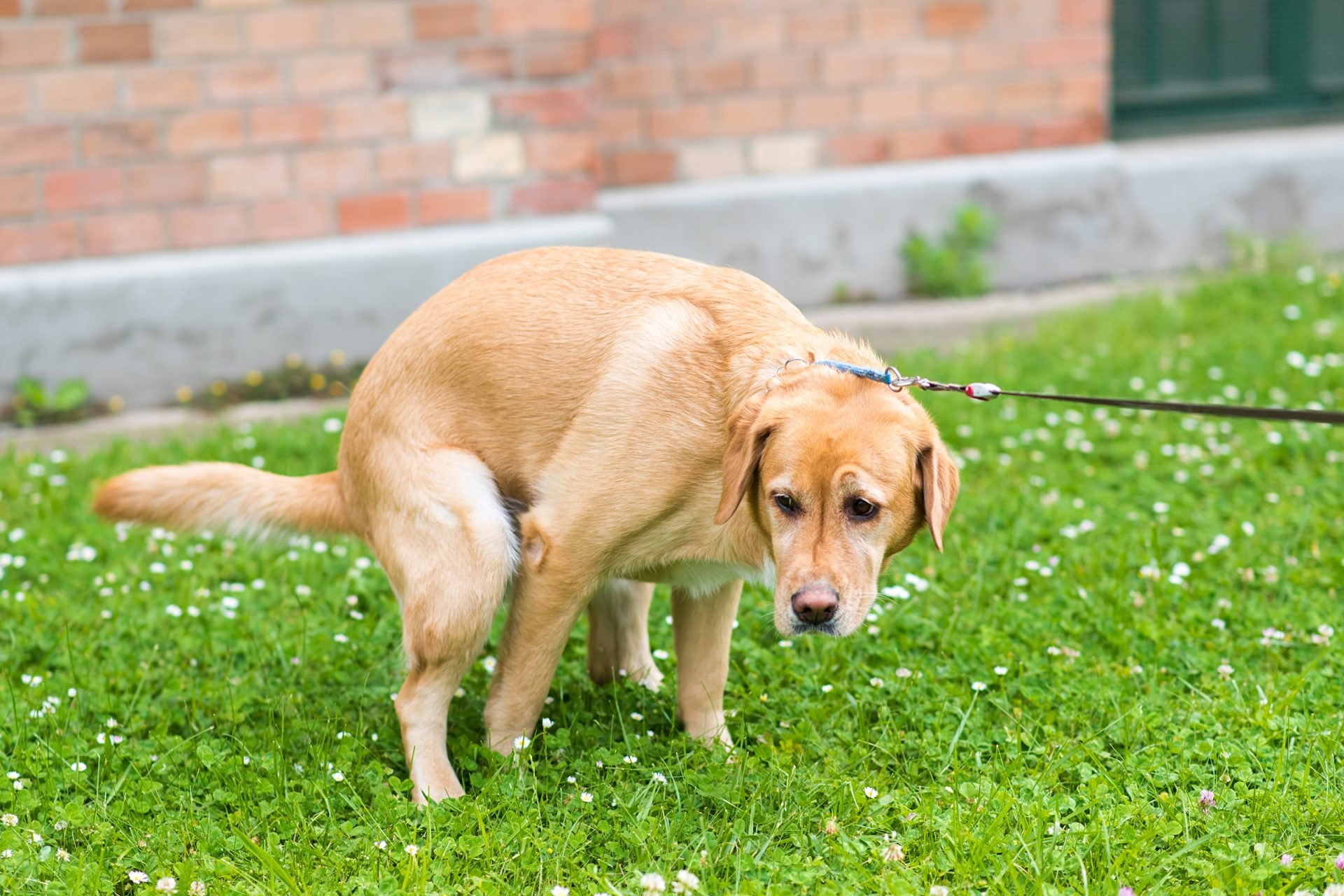 2020_09_gettyimages-841155768-scaled.jpg