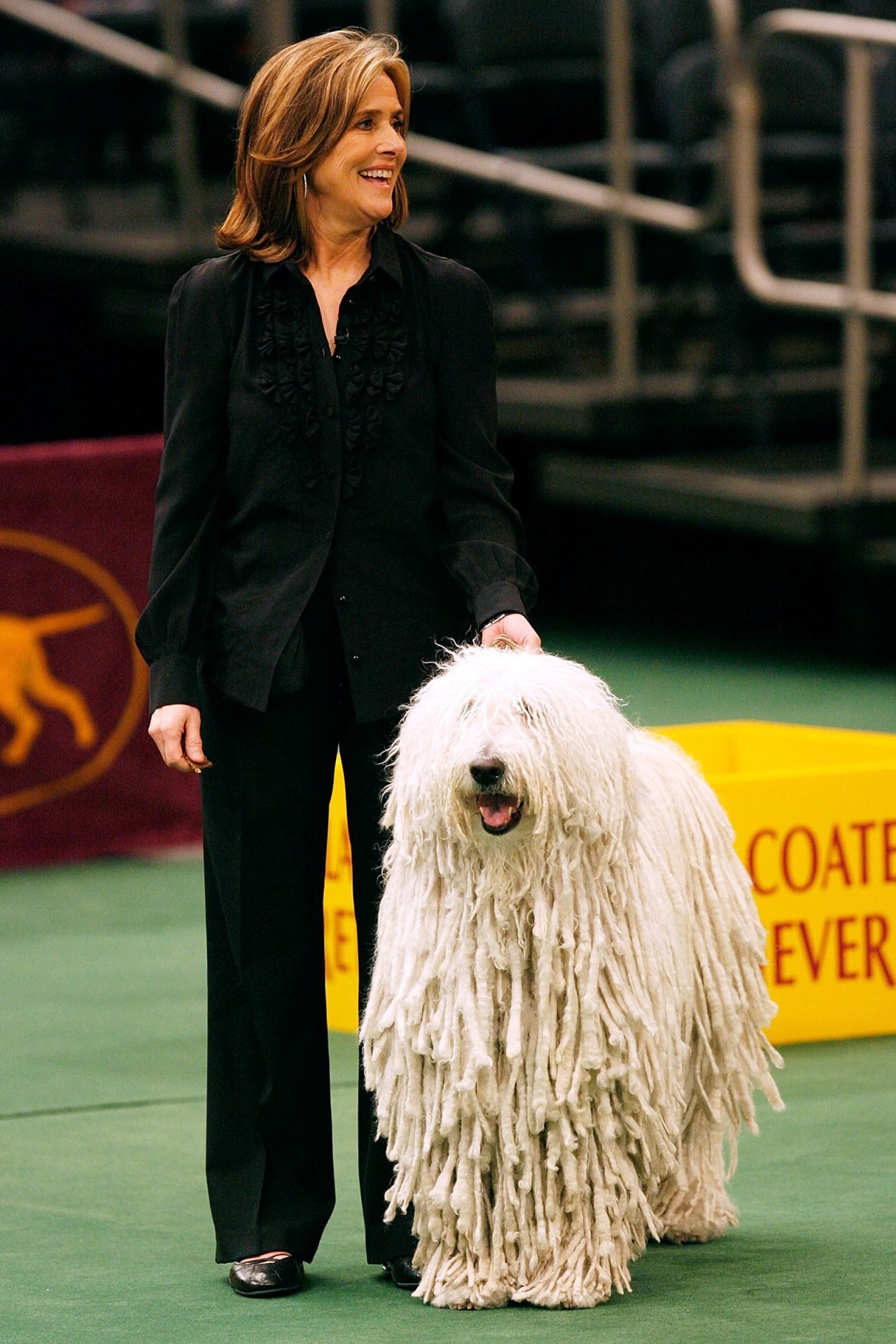 2020_09_gettyimages-84734400-scaled.jpg