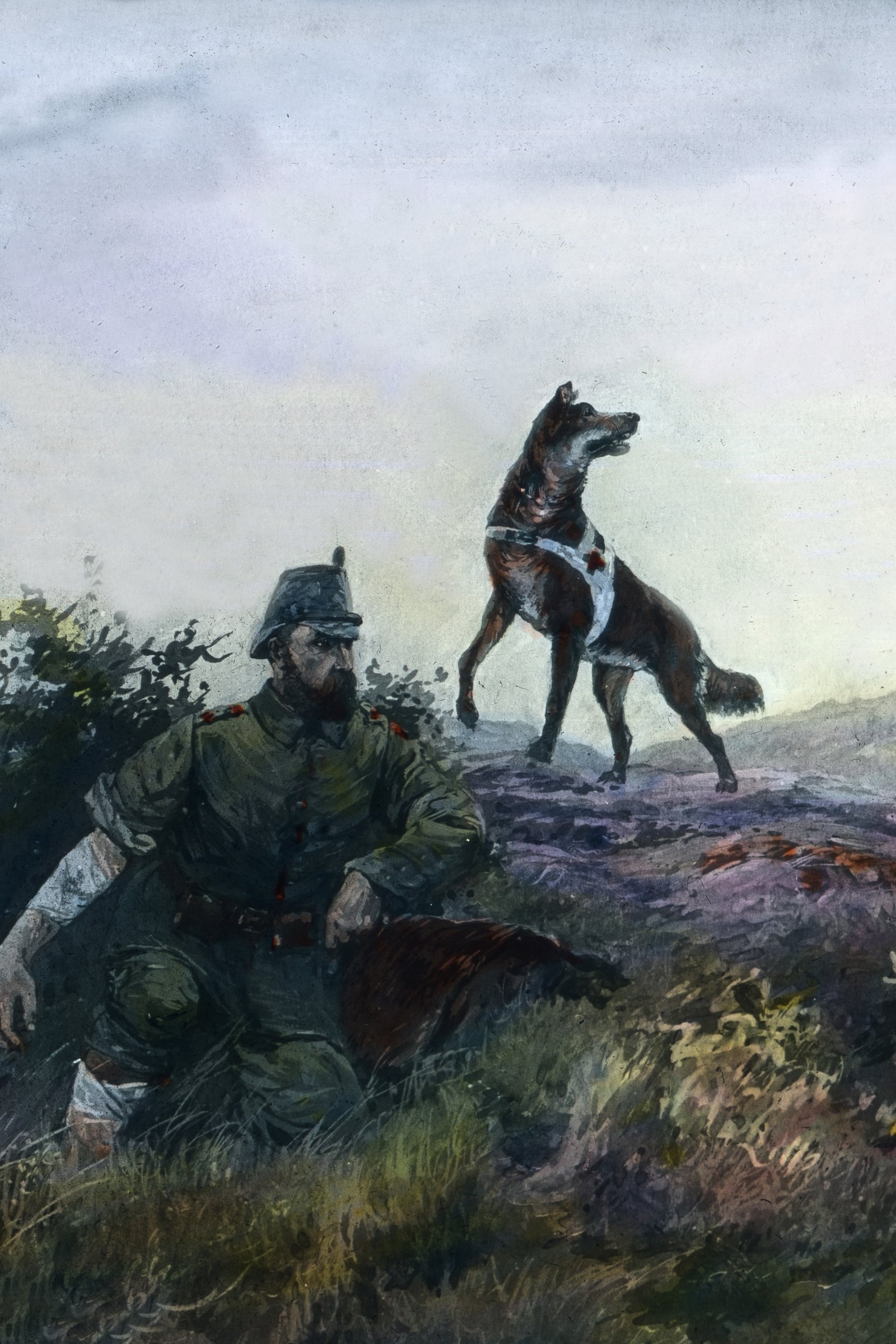 háborús sebesülteket kereső kutya