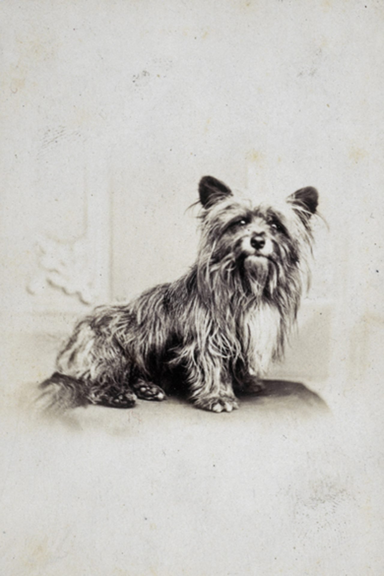 2020_09_greyfriarsbobby-scaled.jpg
