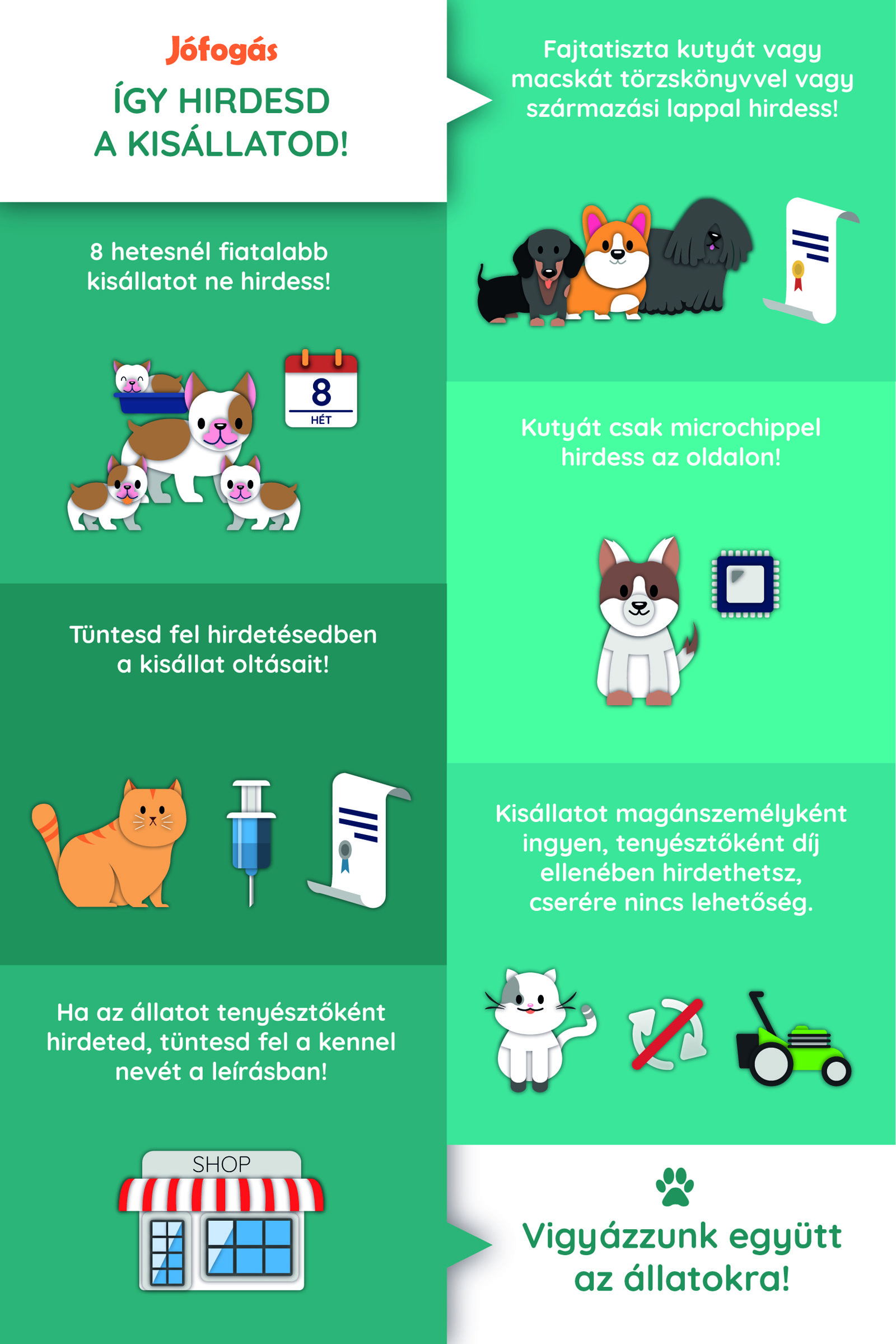 Jófogás infografika