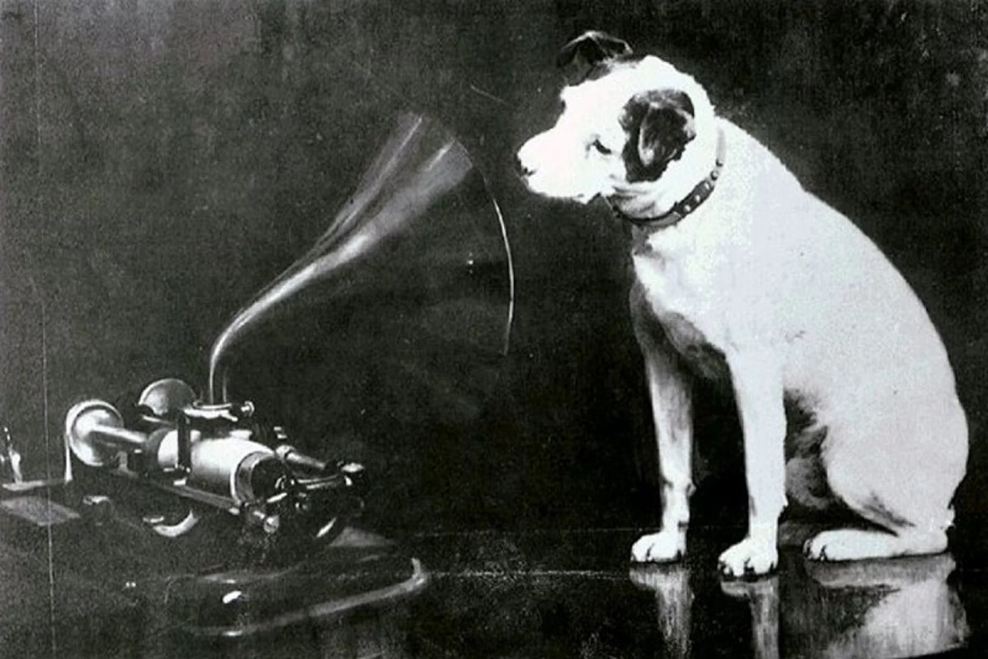 2020_09_originalnipper-scaled.webp