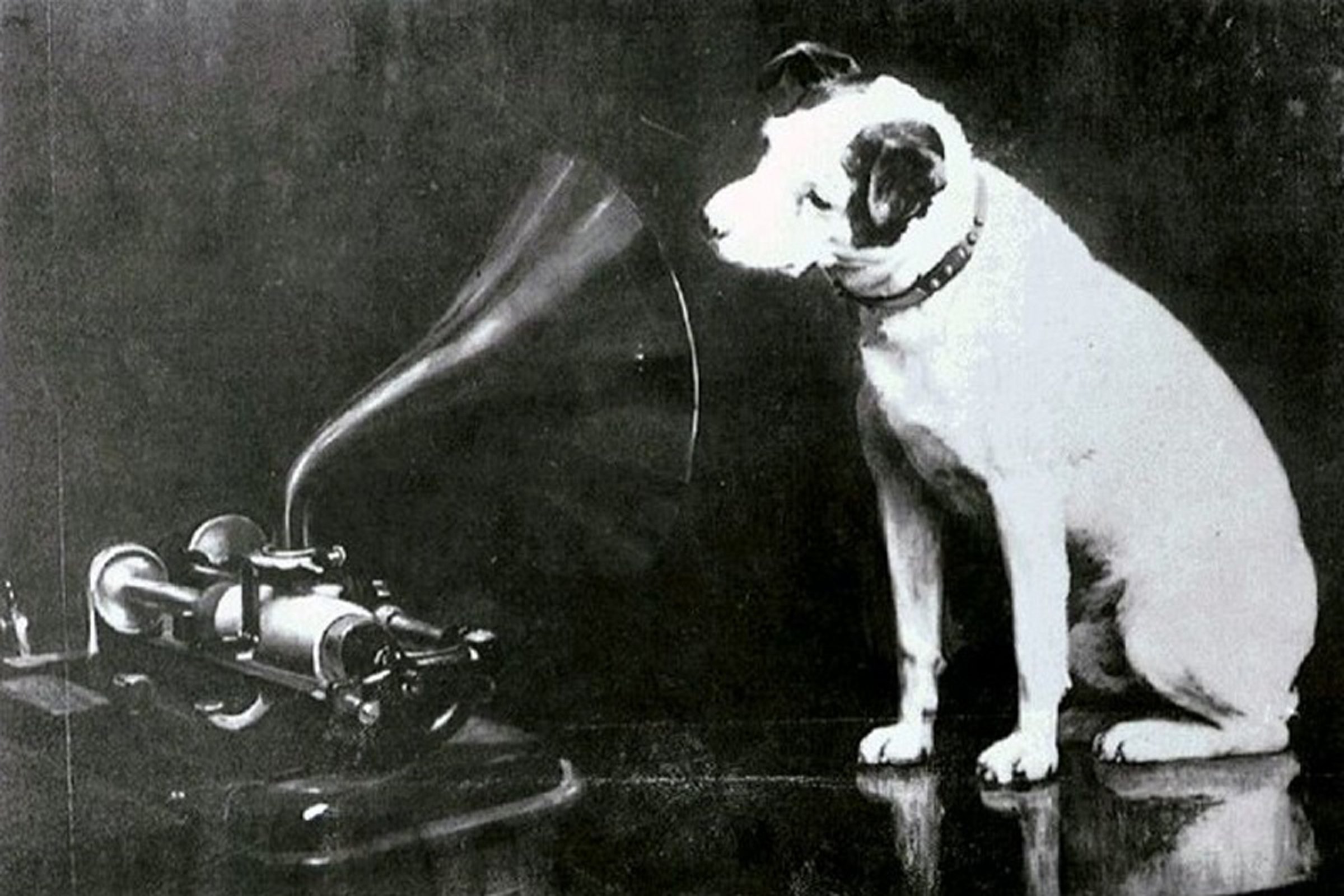 Eredeti Nipper