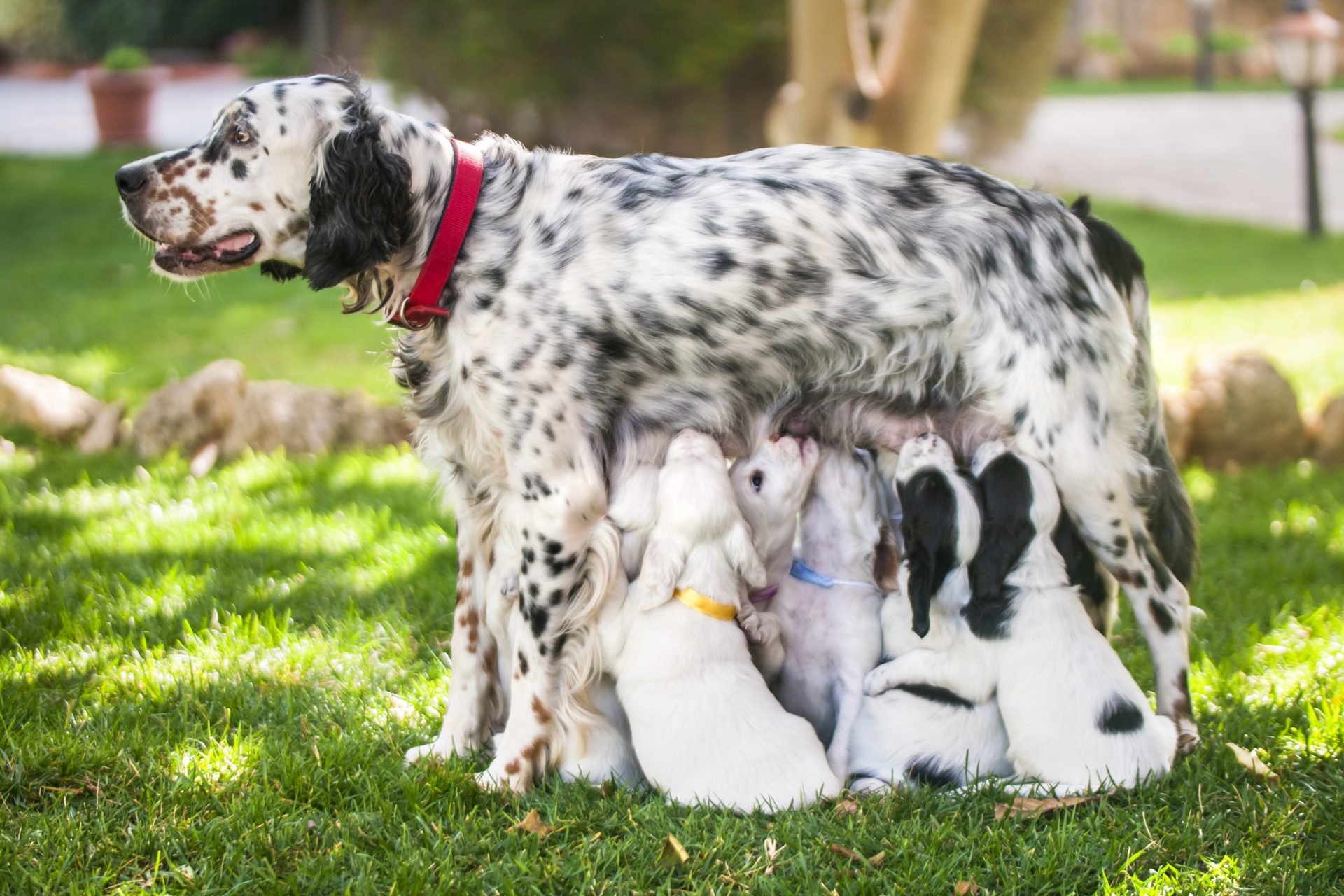 2020_10_gettyimages-1136519961-scaled.jpg