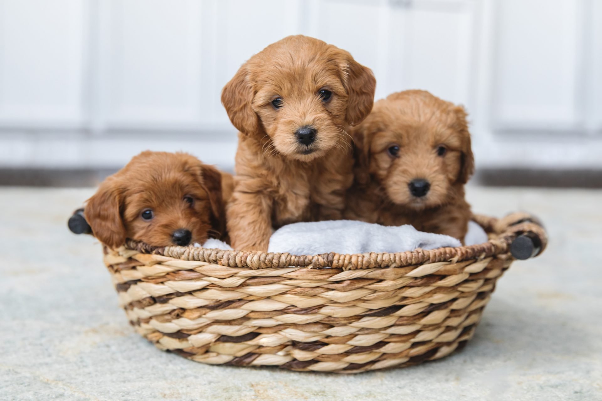 2020_10_gettyimages-1148221339-scaled.jpg