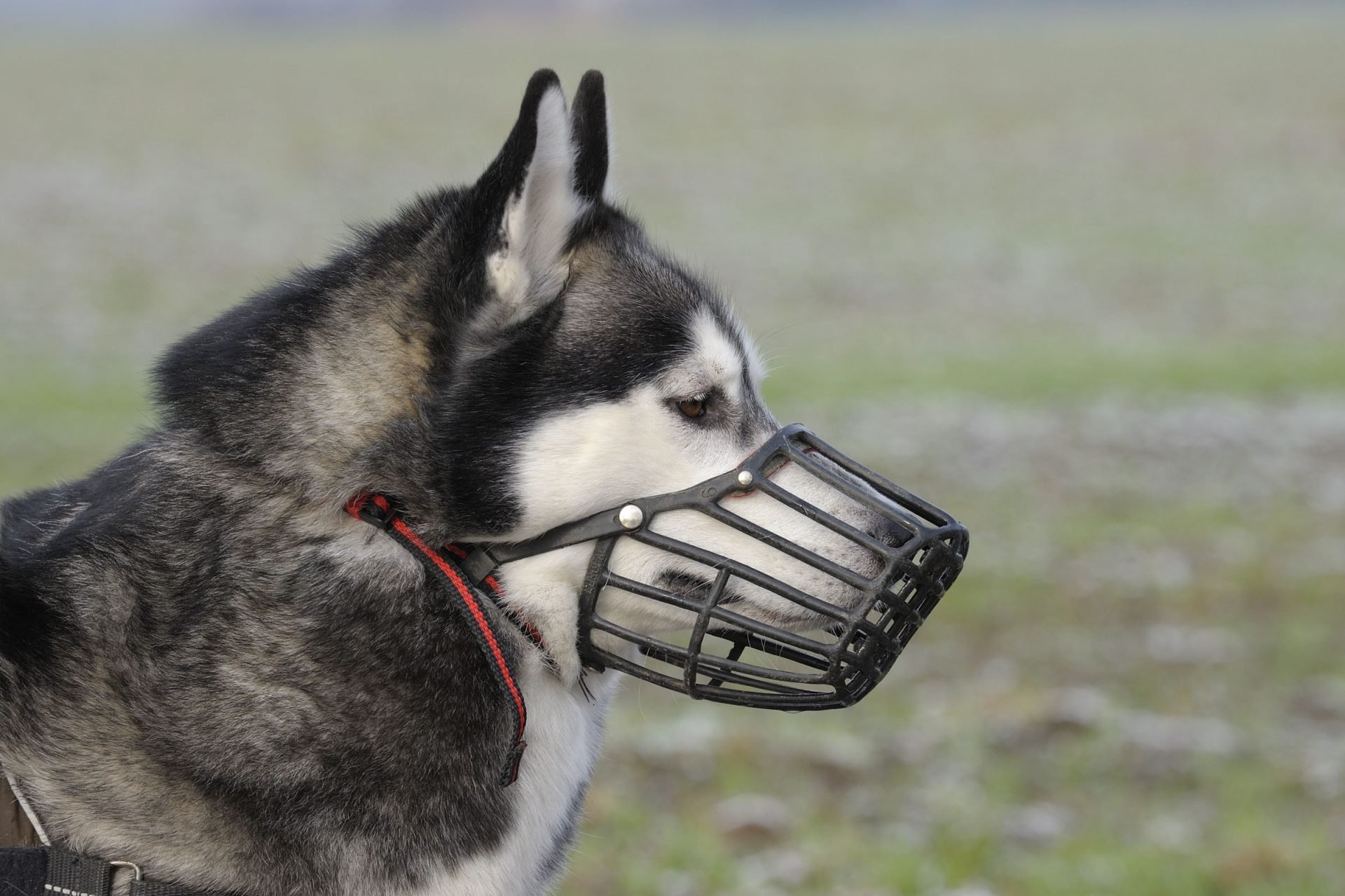 2020_10_gettyimages-159300387-scaled.jpg