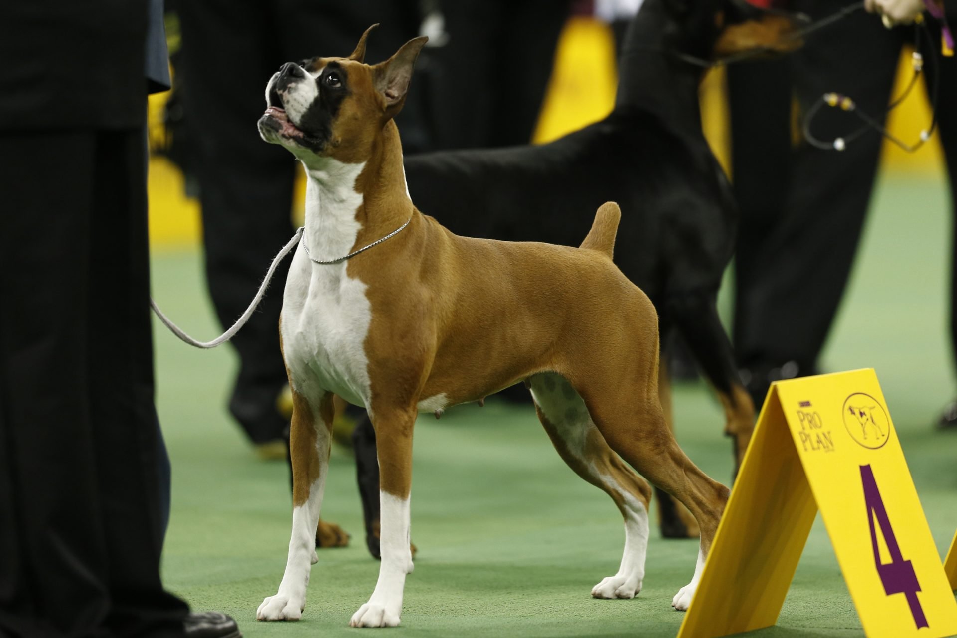 2020_10_gettyimages-161624422-scaled.jpg