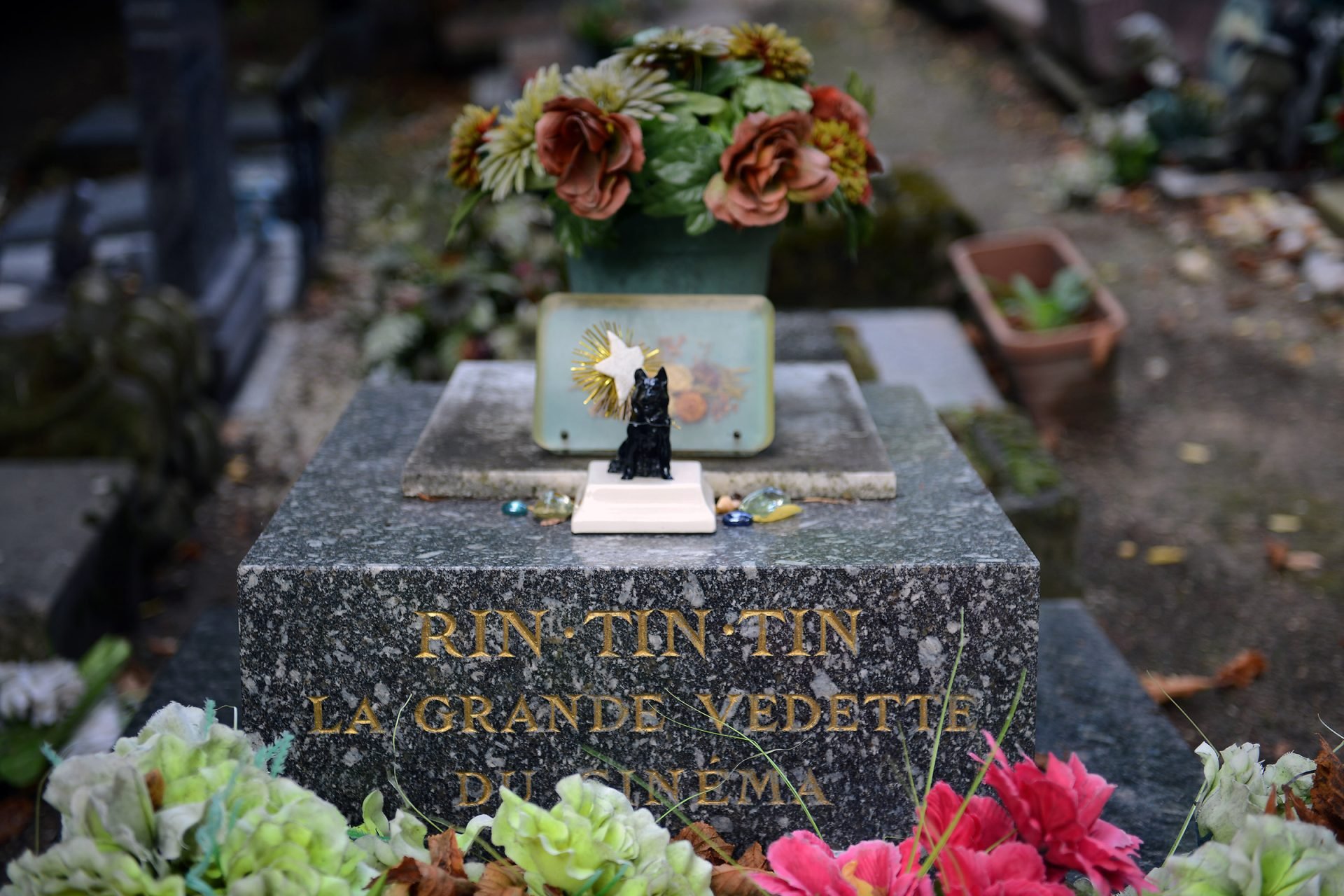 2020_10_gettyimages-180615940-scaled.jpg