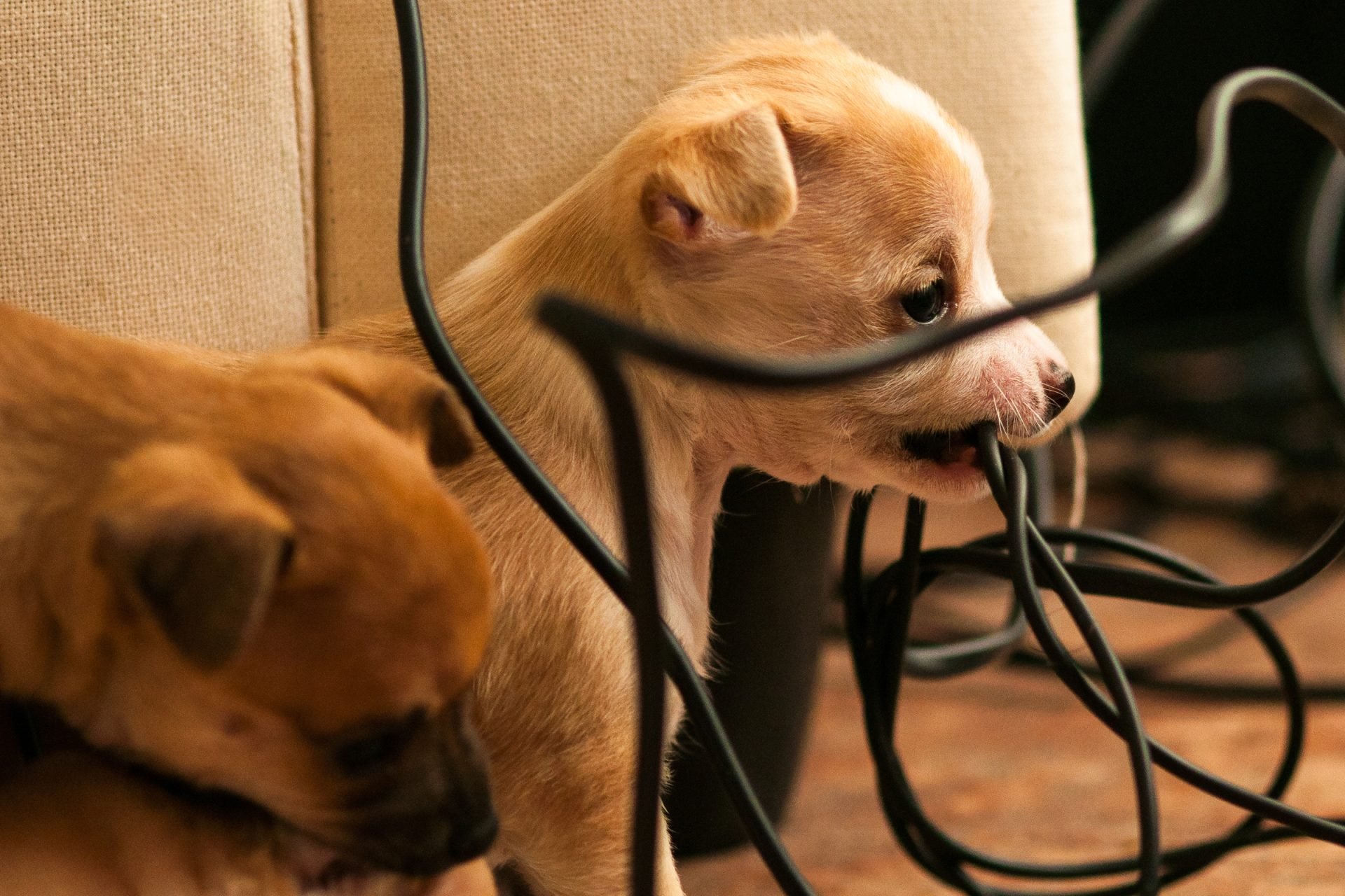 2020_10_gettyimages-474626360-scaled.jpg