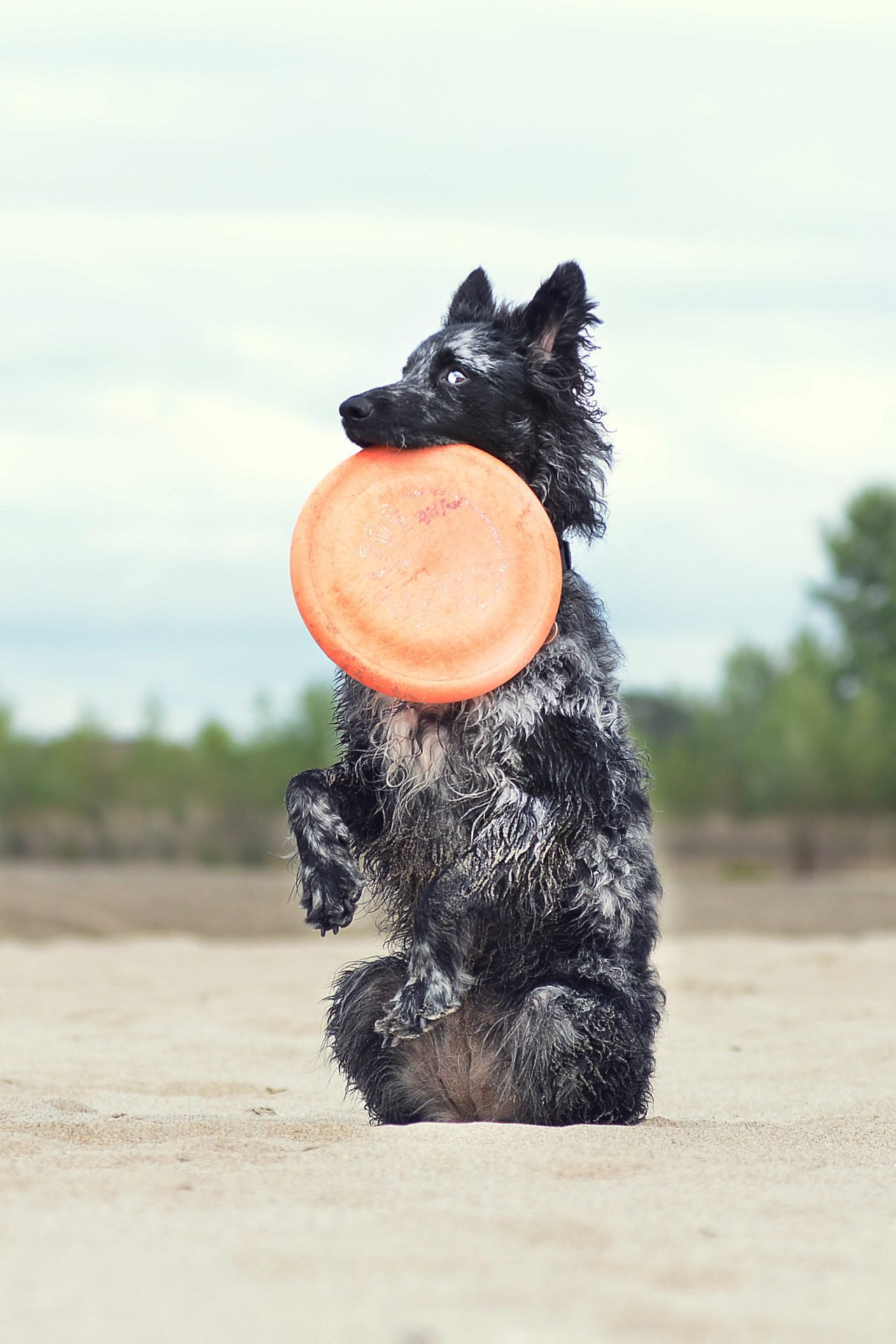 2020_10_gettyimages-496654290-scaled.jpg