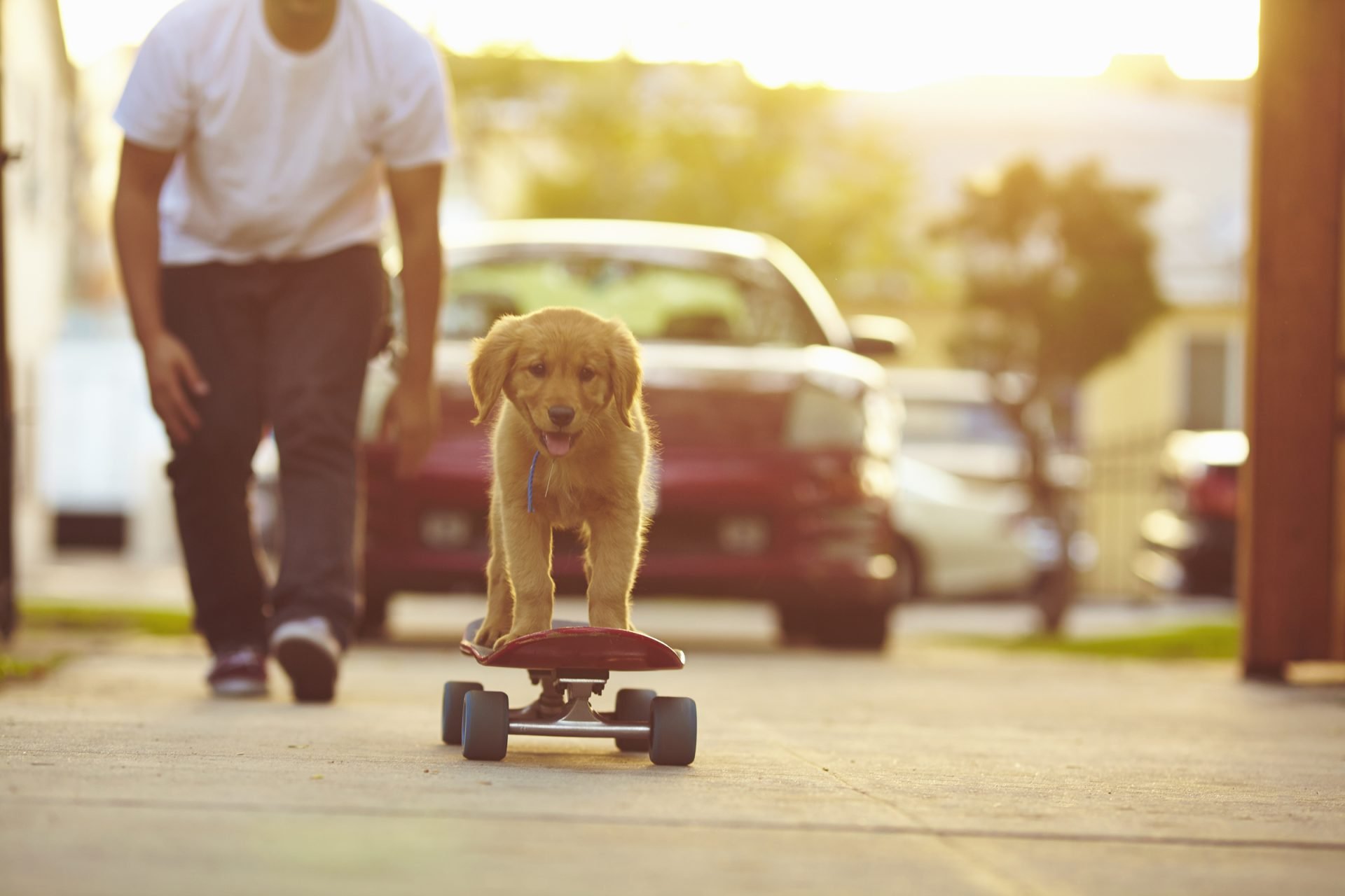 2020_10_gettyimages-512366425-scaled.jpg