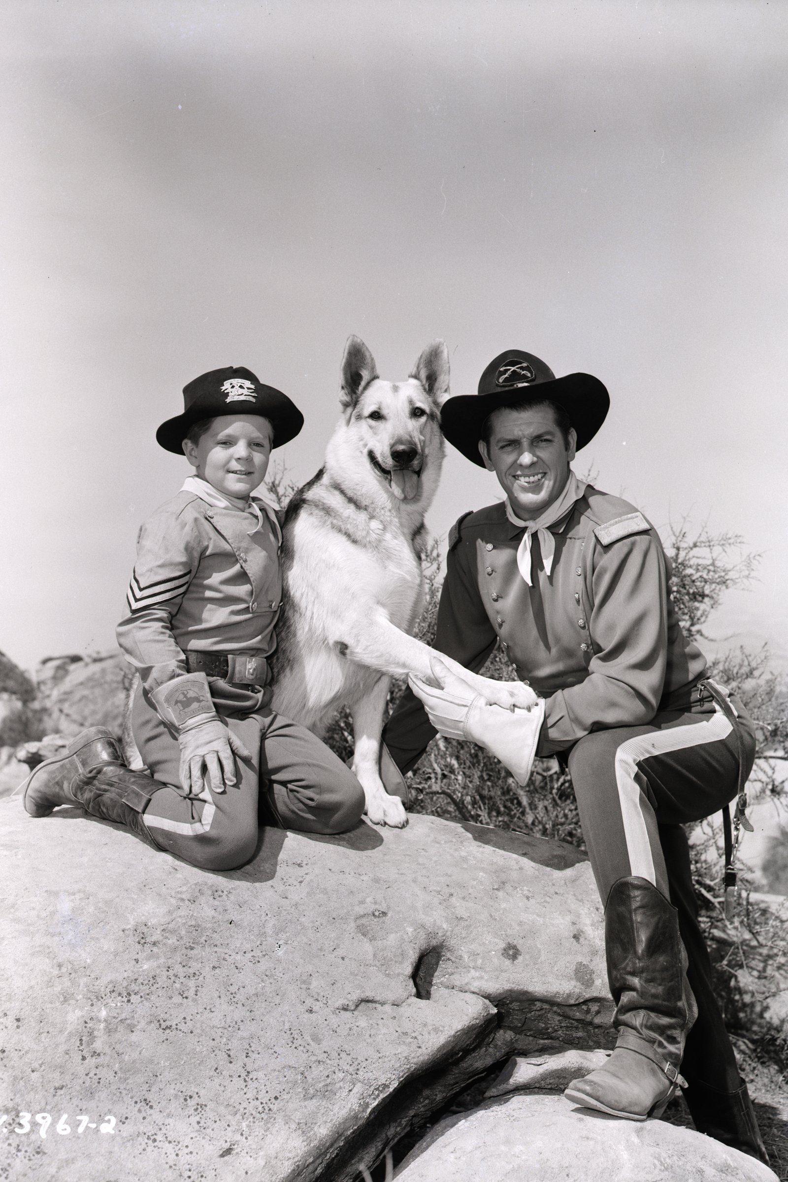 Rin Tin Tin IV.