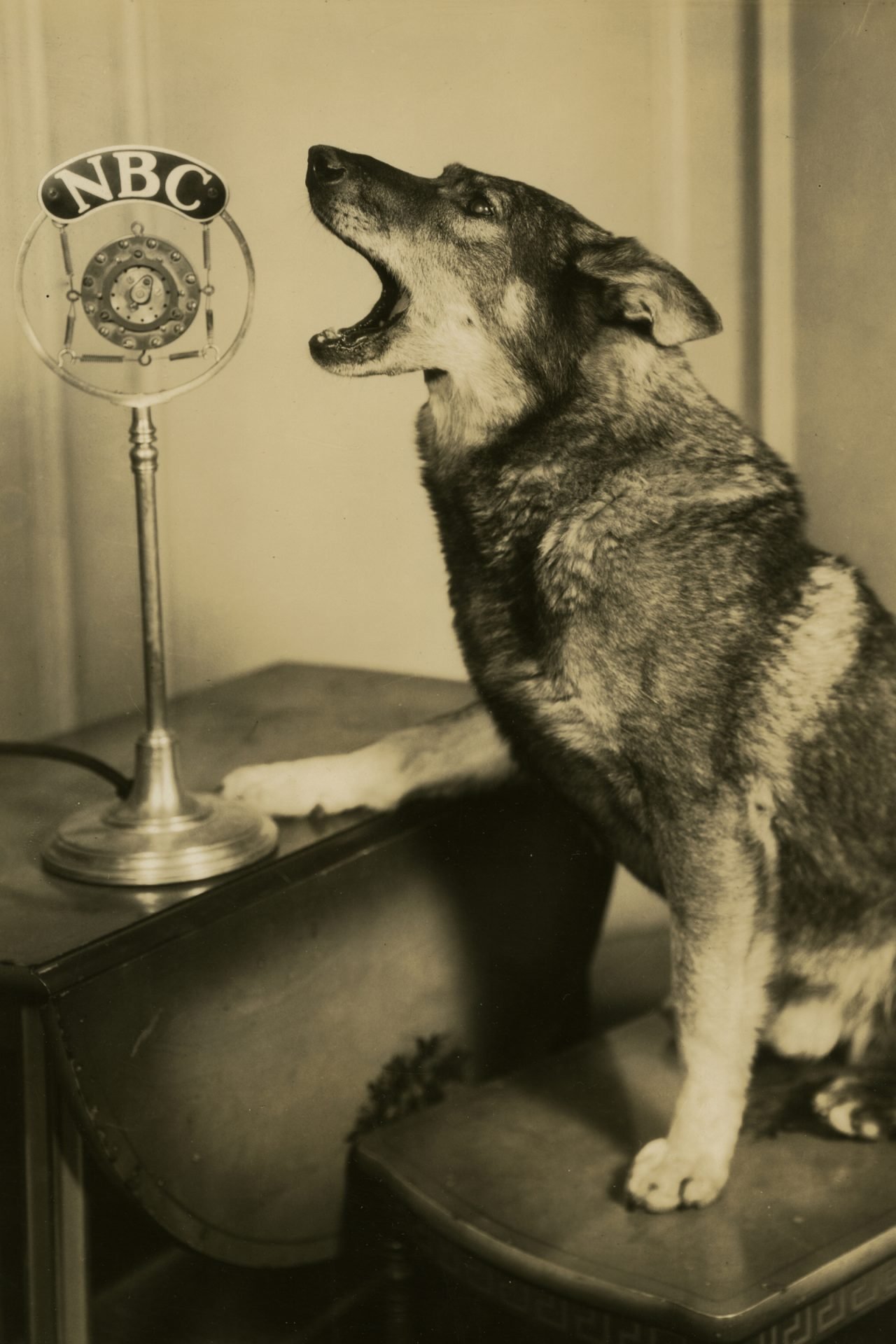 2020_10_gettyimages-618494640-scaled.jpg