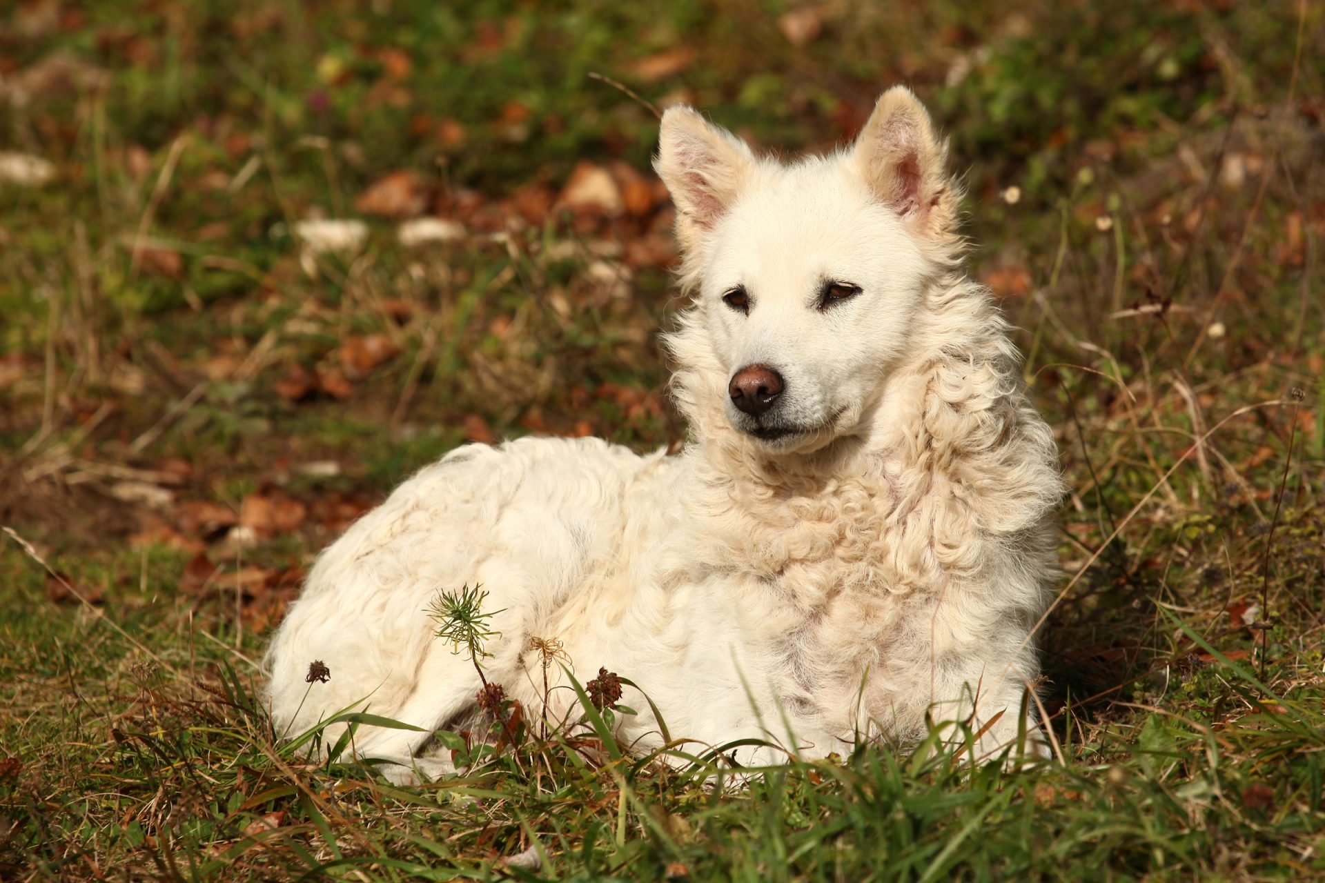 2020_10_gettyimages-628708422-scaled.jpg