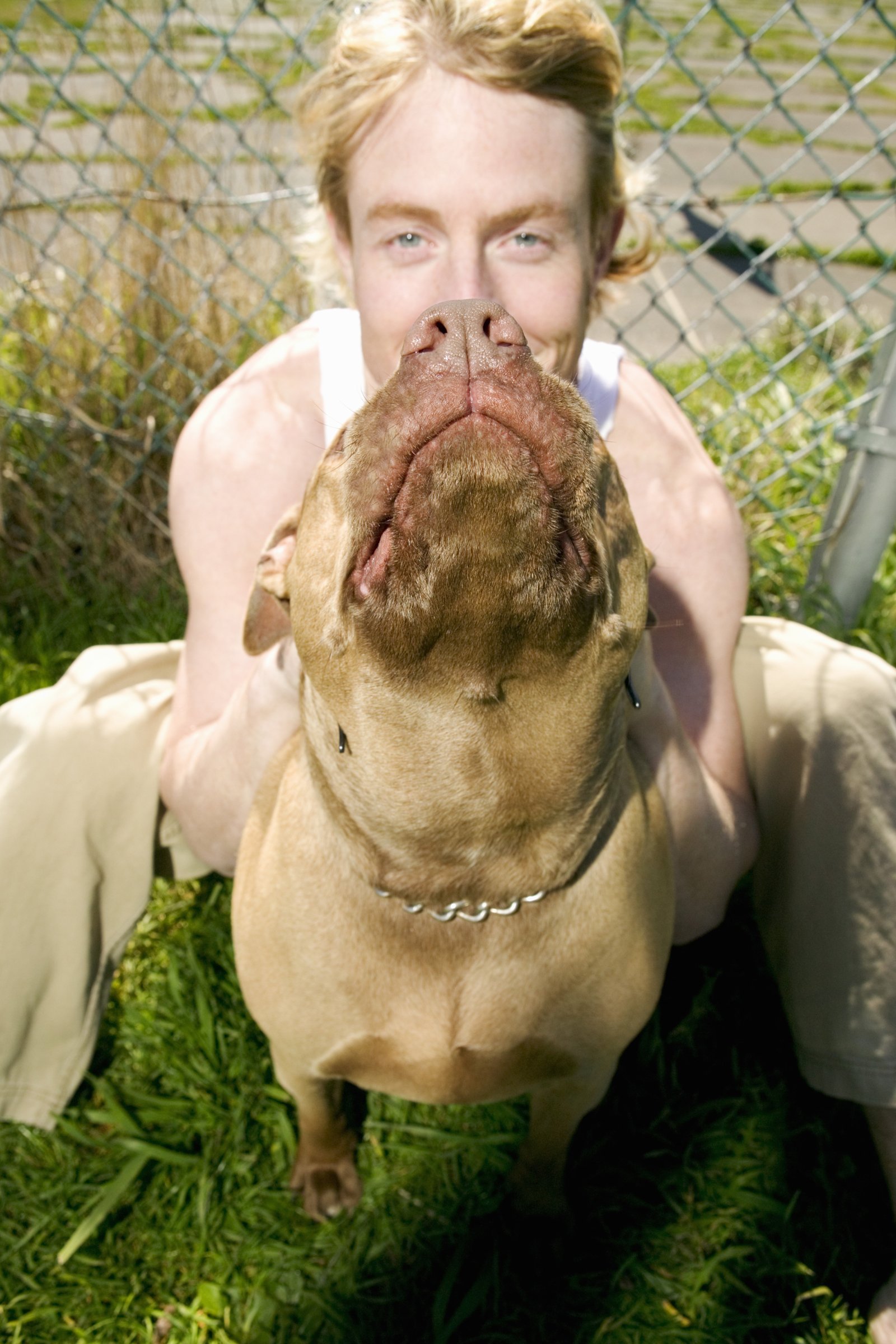 férfi pitbullal