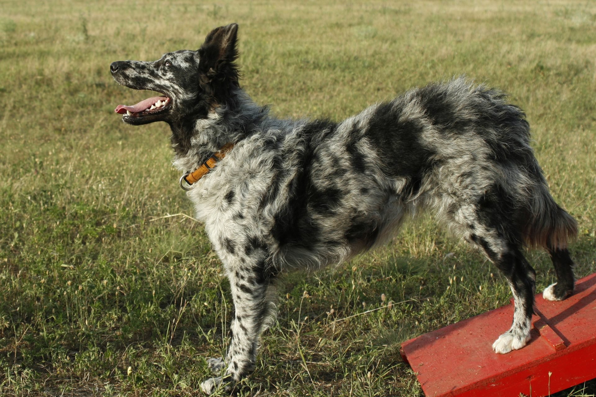 2020_10_gettyimages-93057334-scaled.jpg