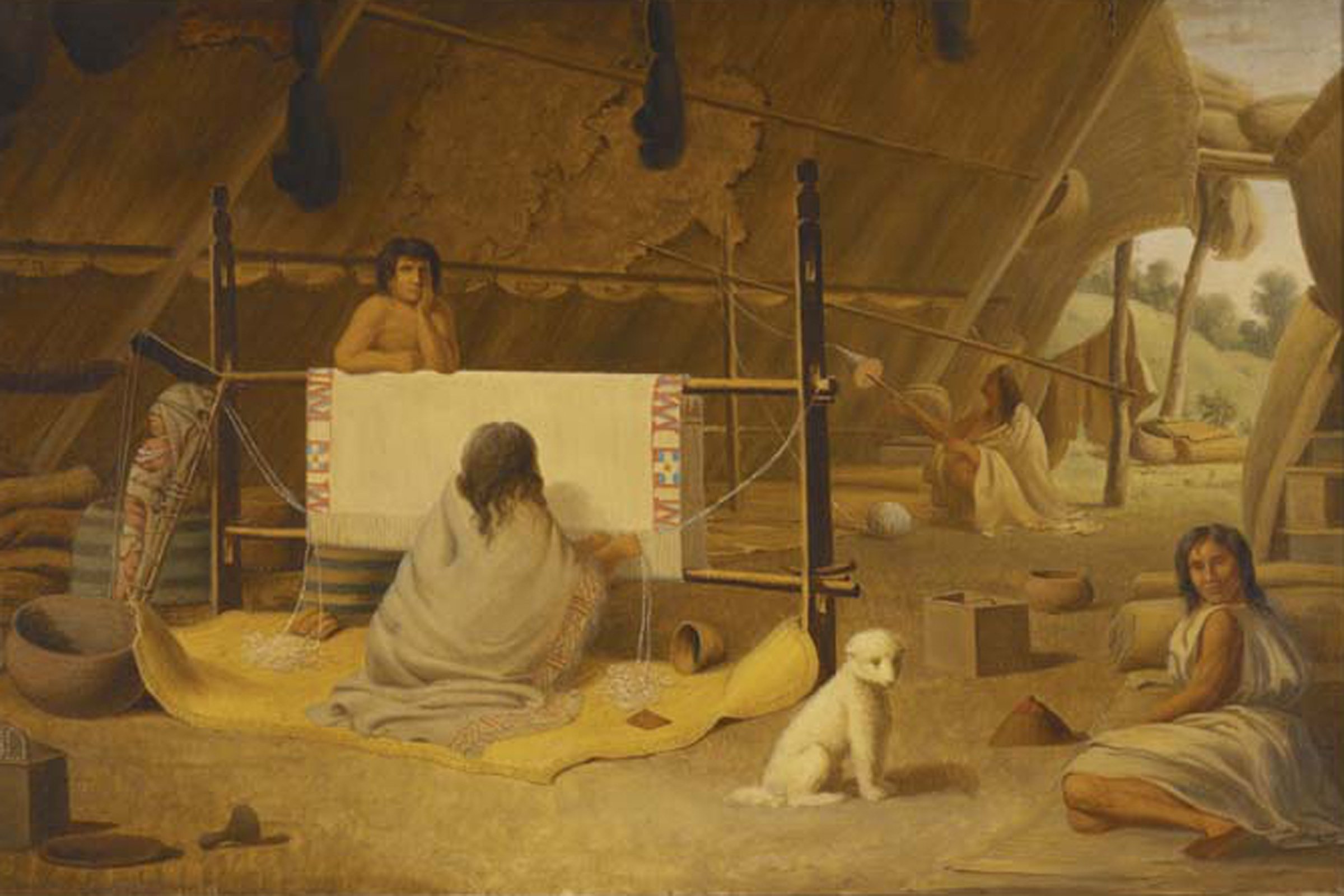 salish gyapjas kutya