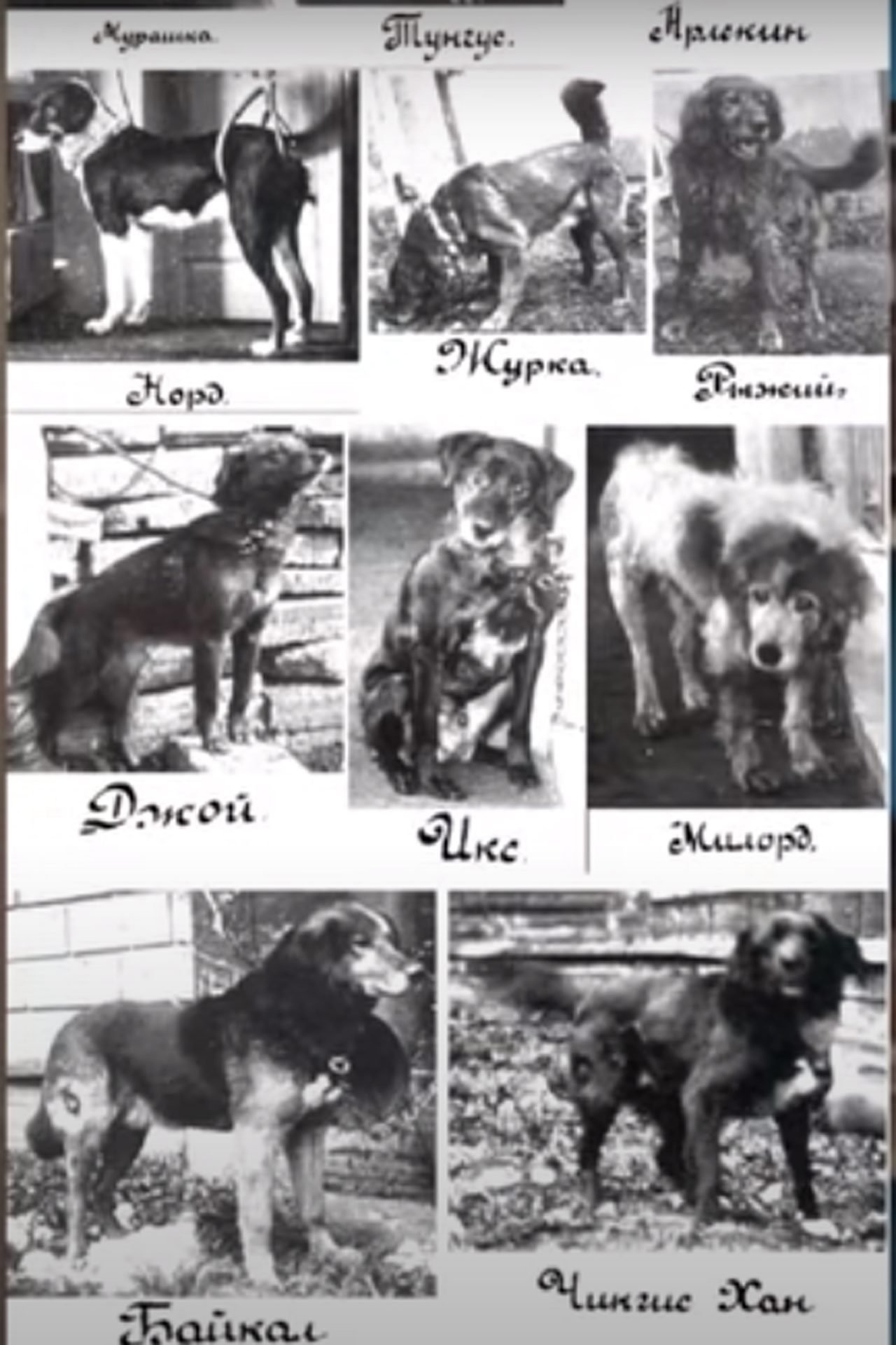 2020_10_pavlov-3-scaled.jpg