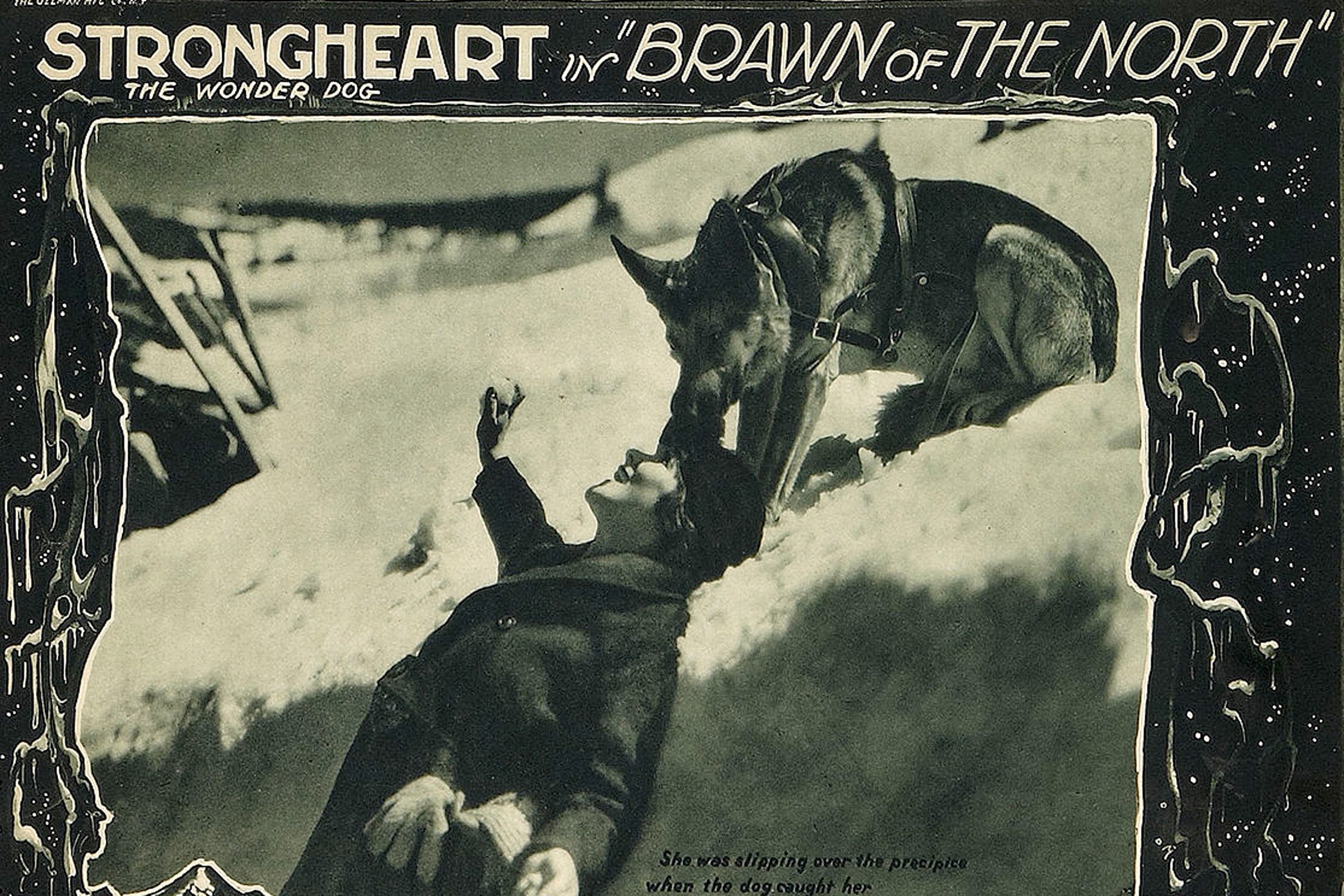 Brawn-of-the-North Strongheart